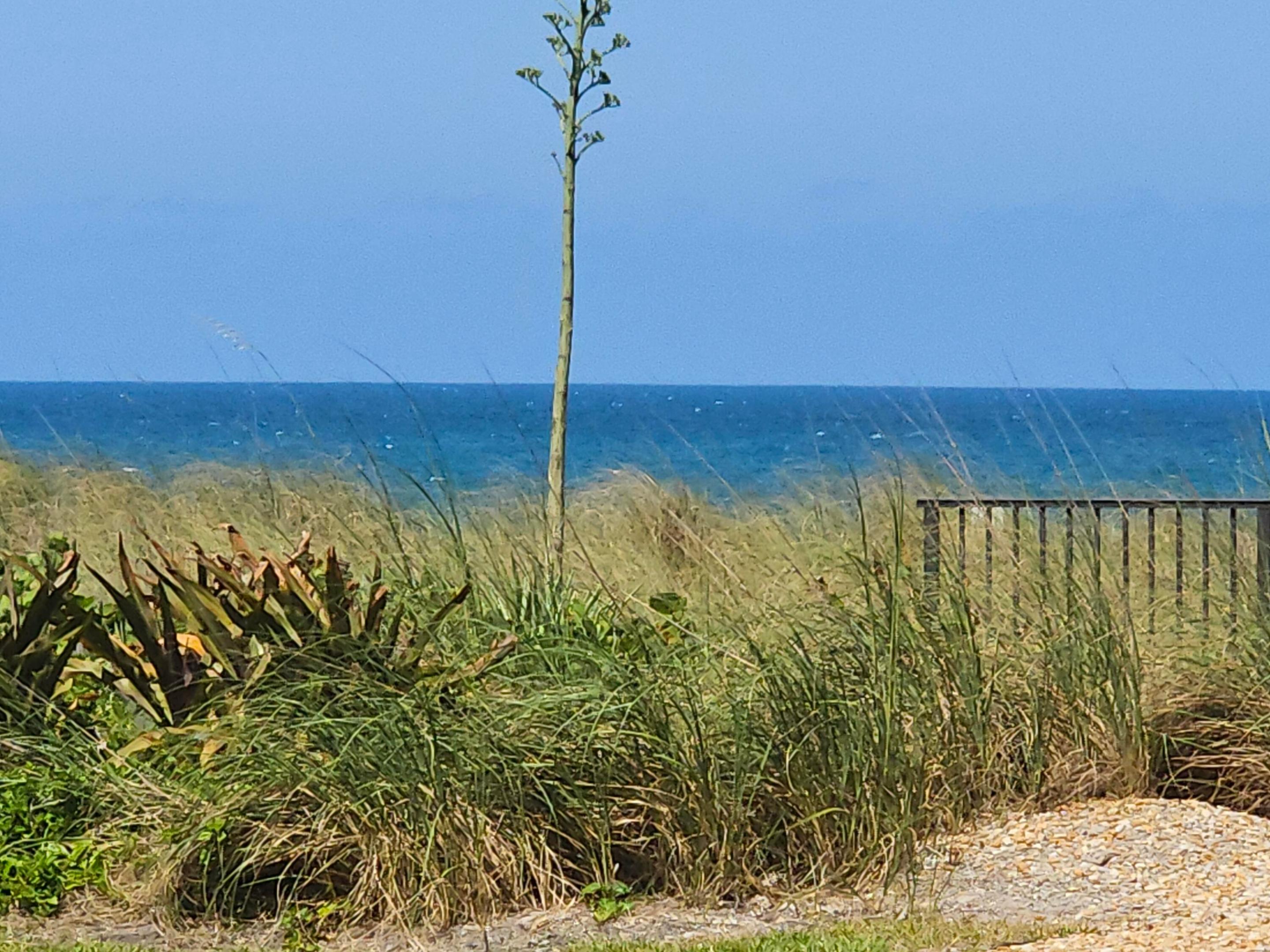 SUNTIDE CONDO - Residential Lease