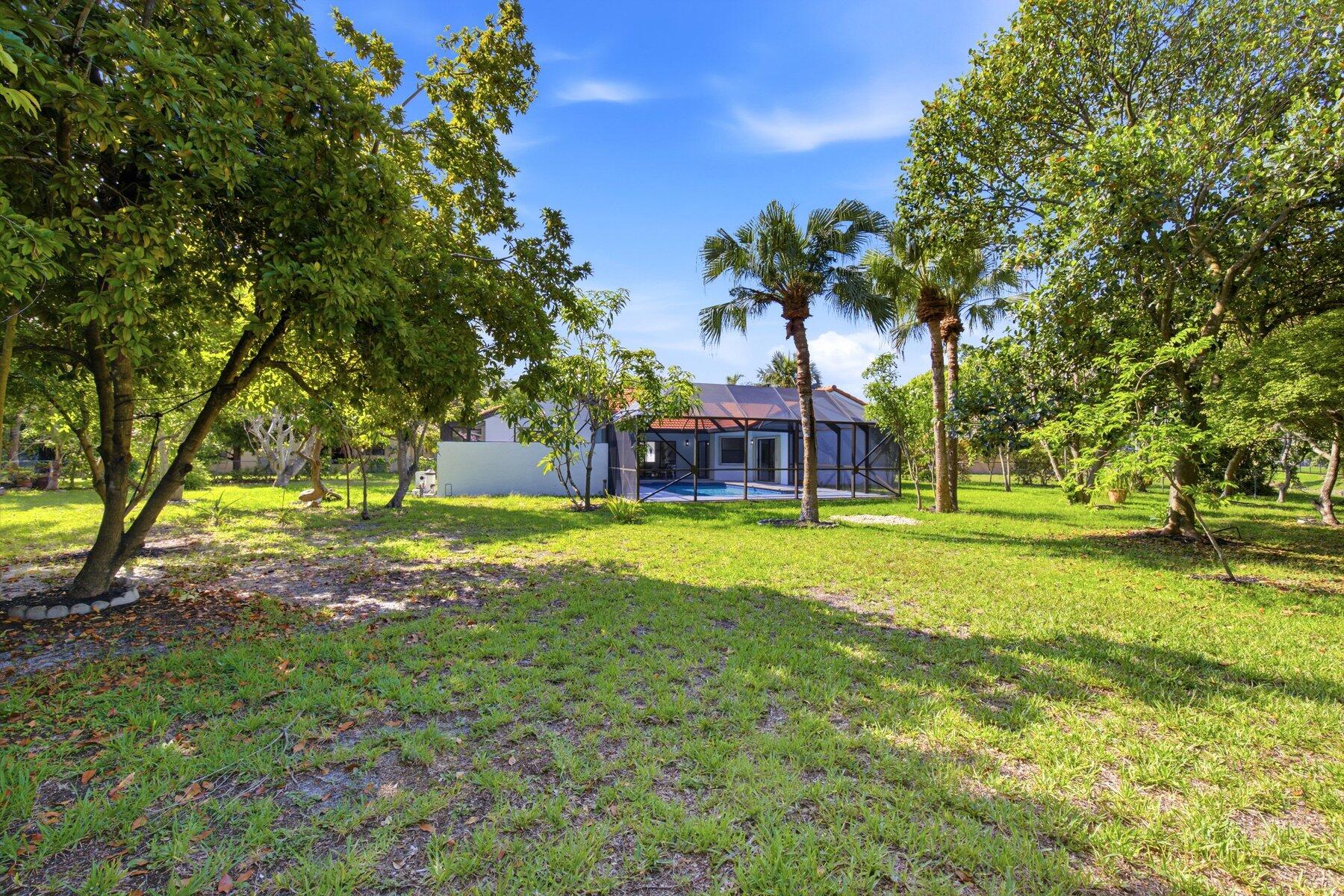 PINE RIDGE - Residential
