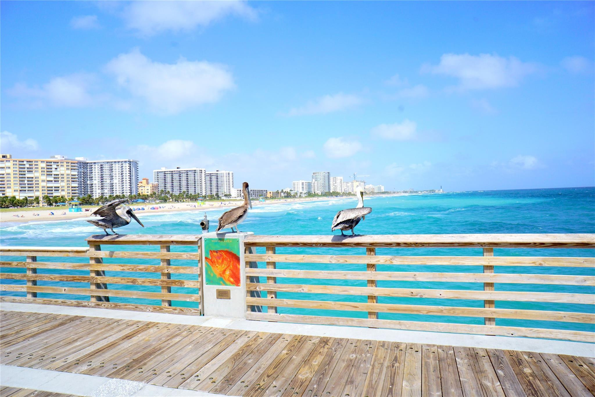 NEWPORT H CONDO - Residential