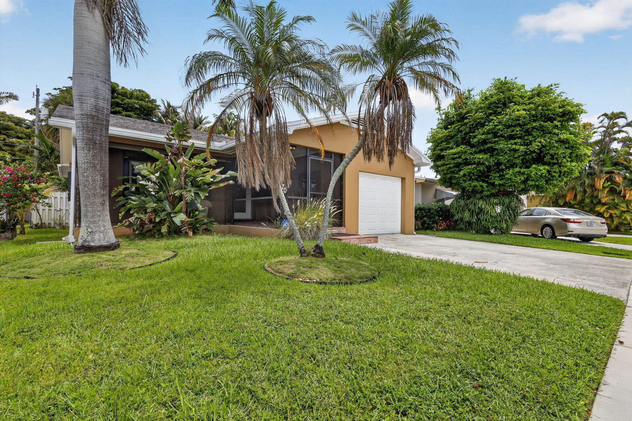 SOUTH PALM PARK - Residential