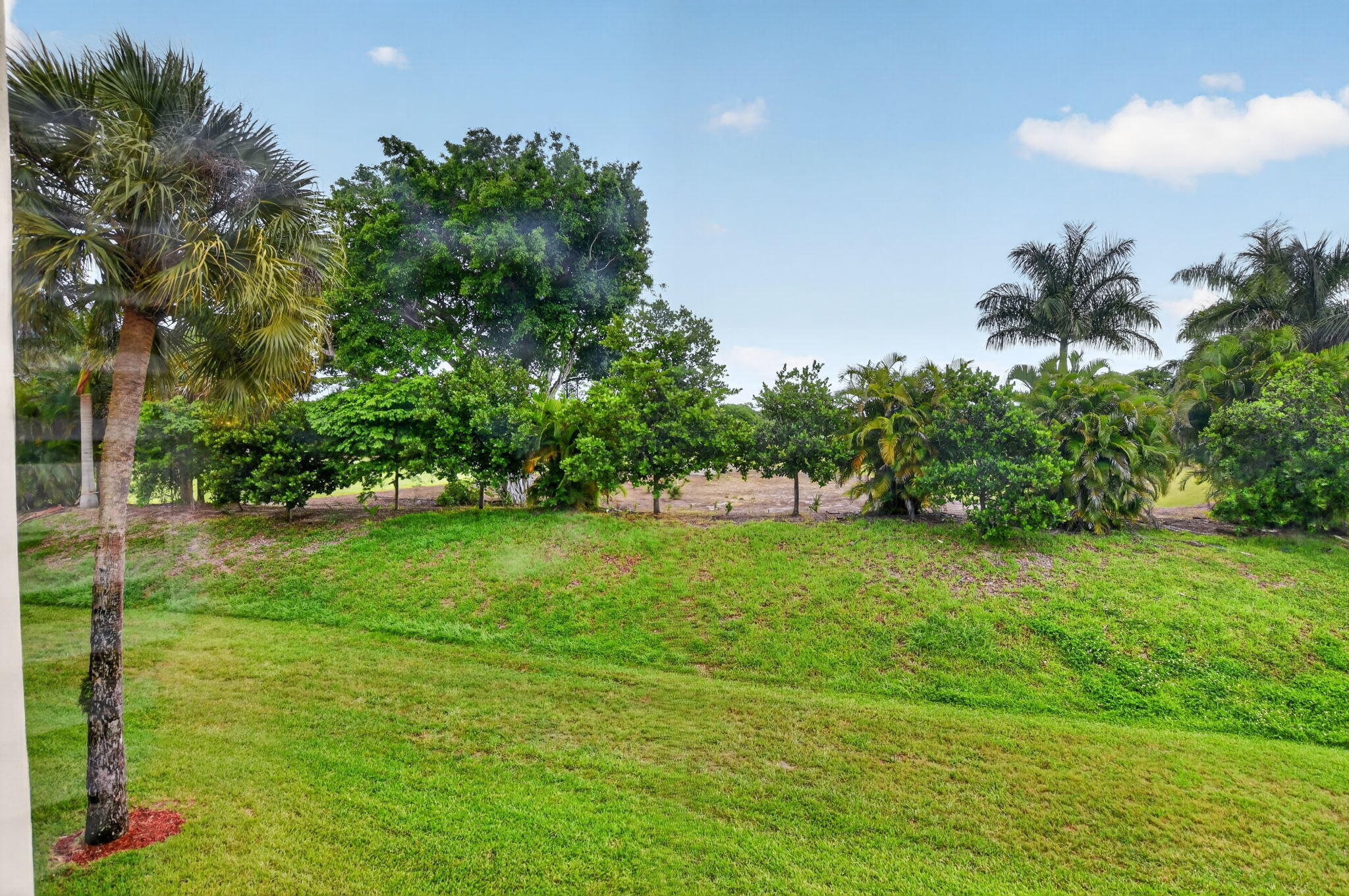 WHITEHALL CONDO AT CAMINO REAL - Residential Lease