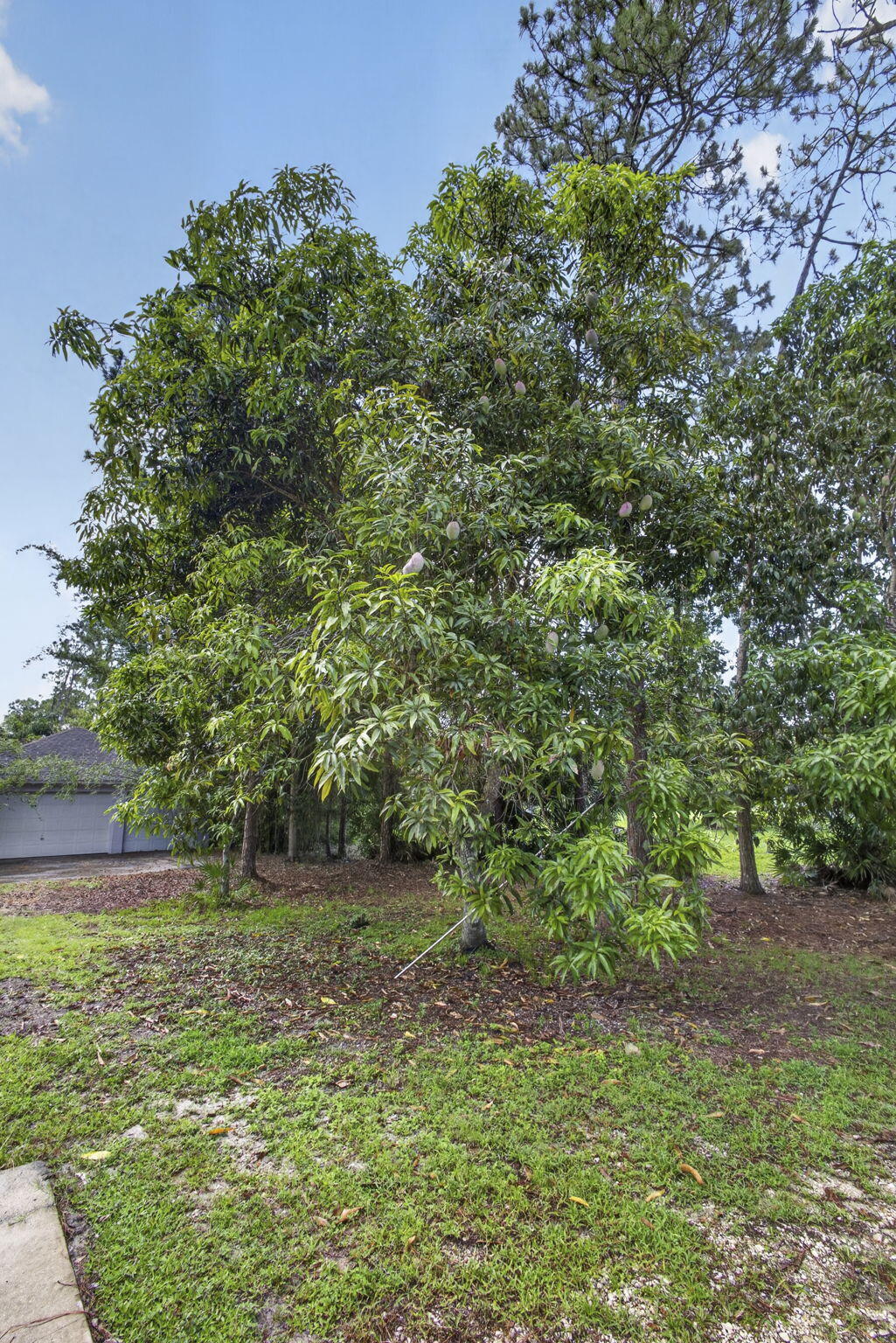 The Acreage - Residential