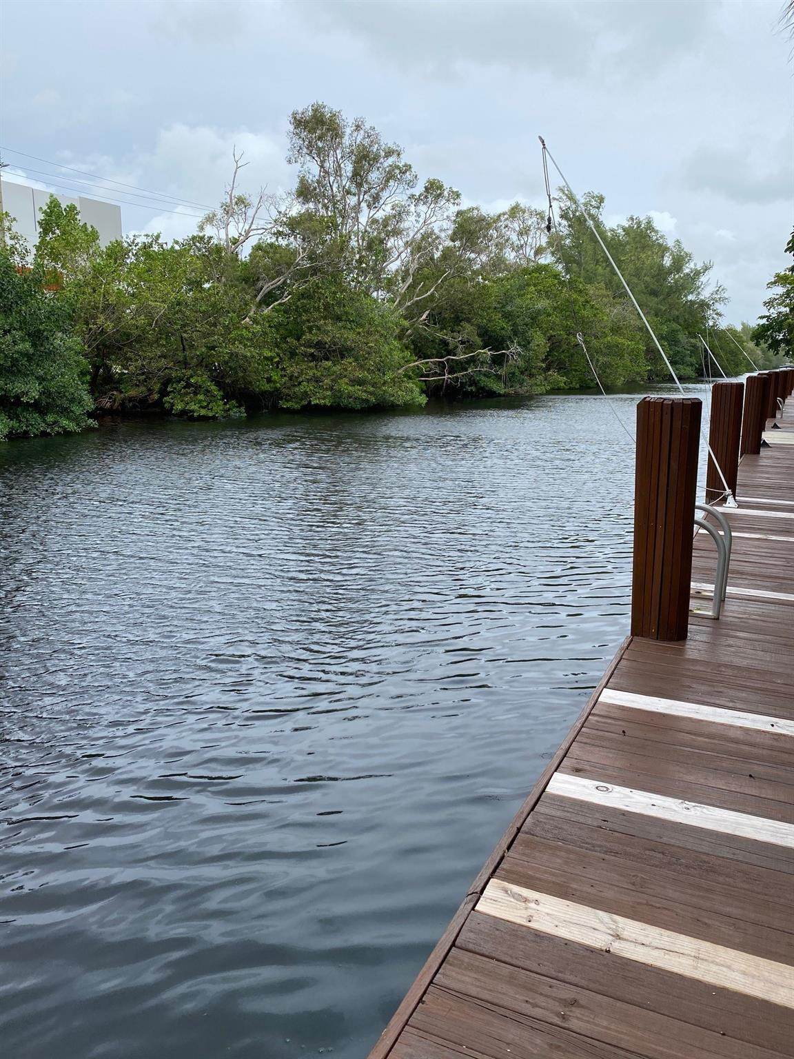 CYPRESS CREEK CONDO - Residential Lease