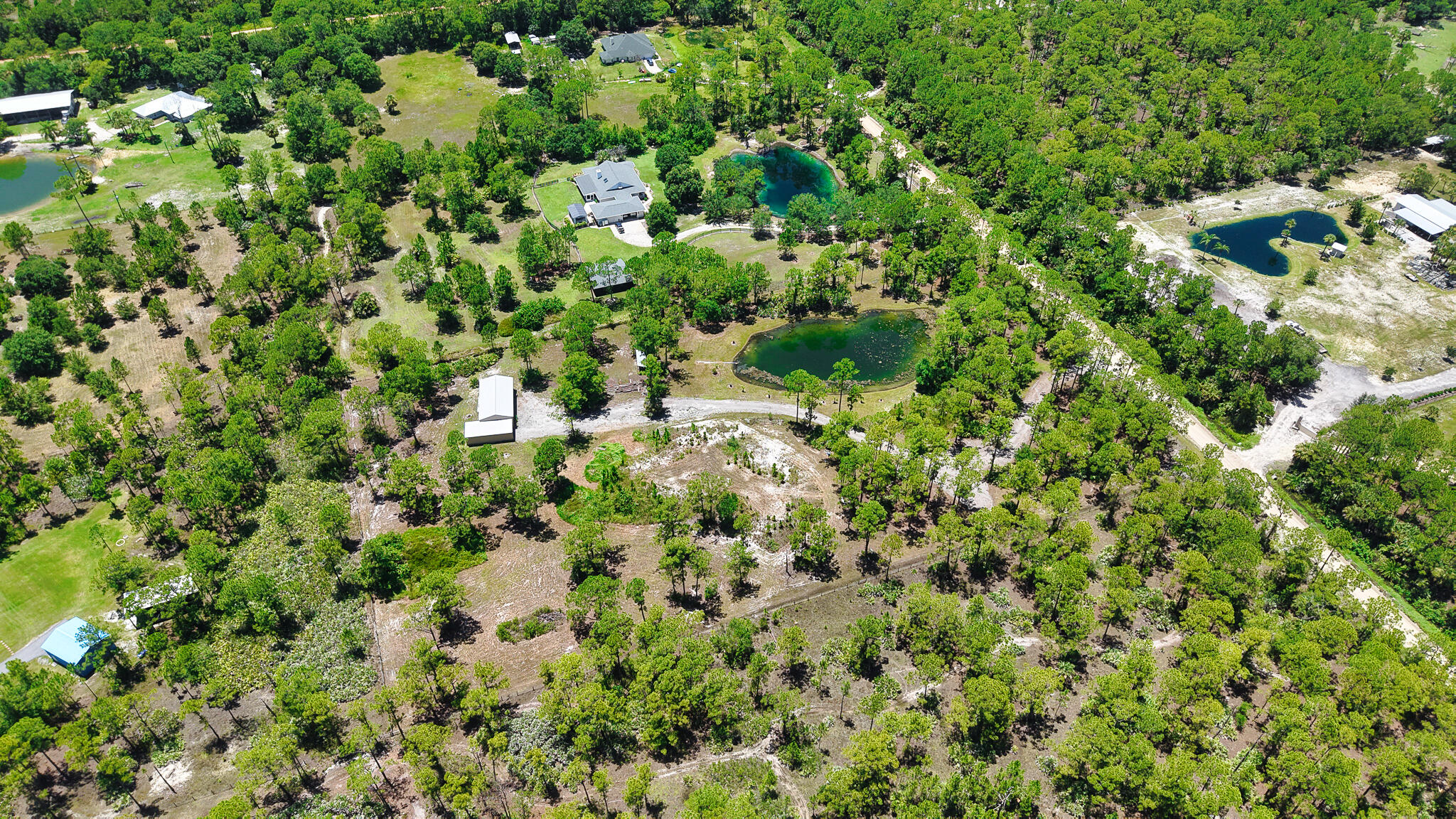 FELLSMERE FARMS CO S/D OF UNSURVEYED TWP 31 RNG 37 - Land