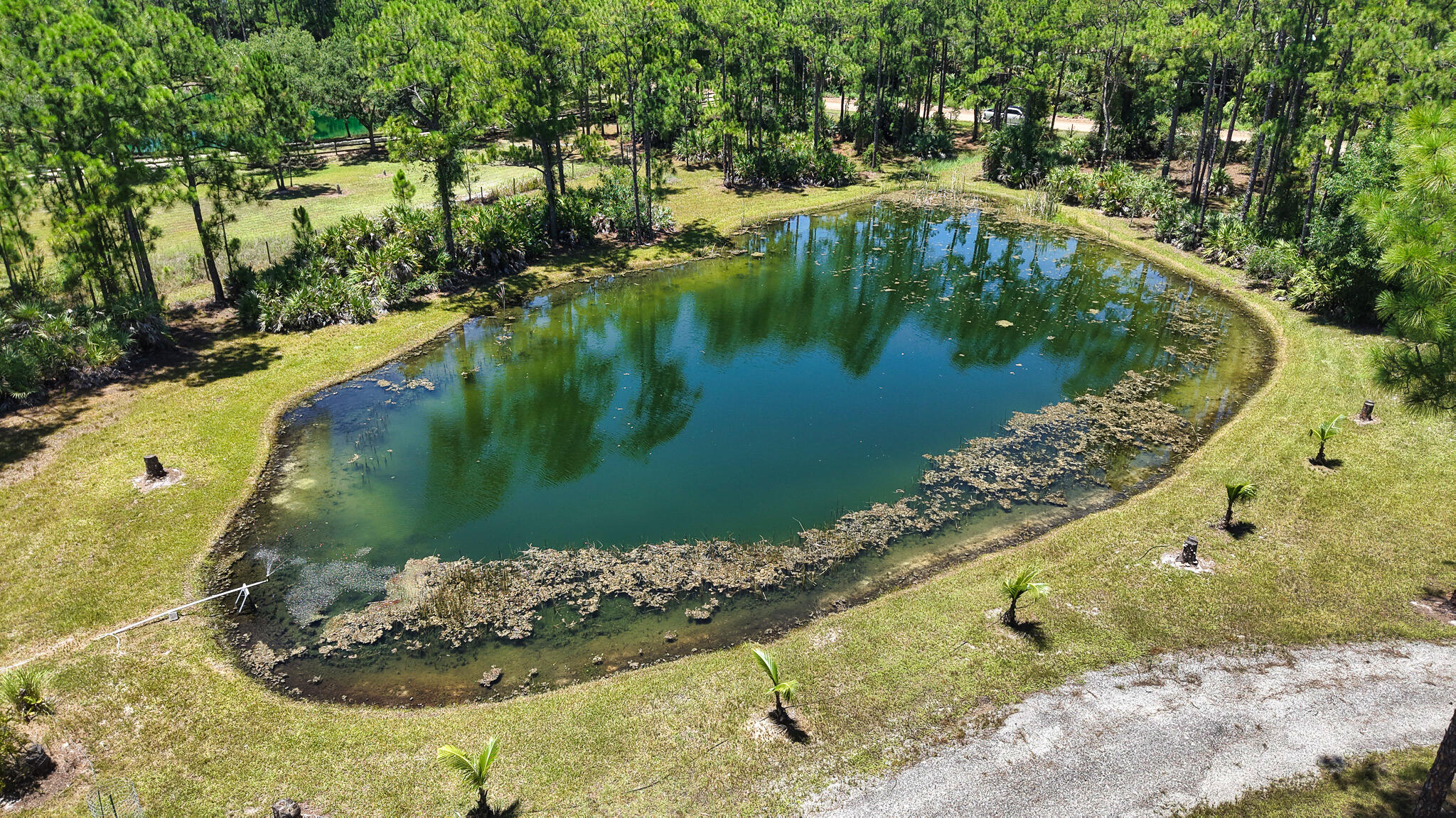 FELLSMERE FARMS CO S/D OF UNSURVEYED TWP 31 RNG 37 - Land