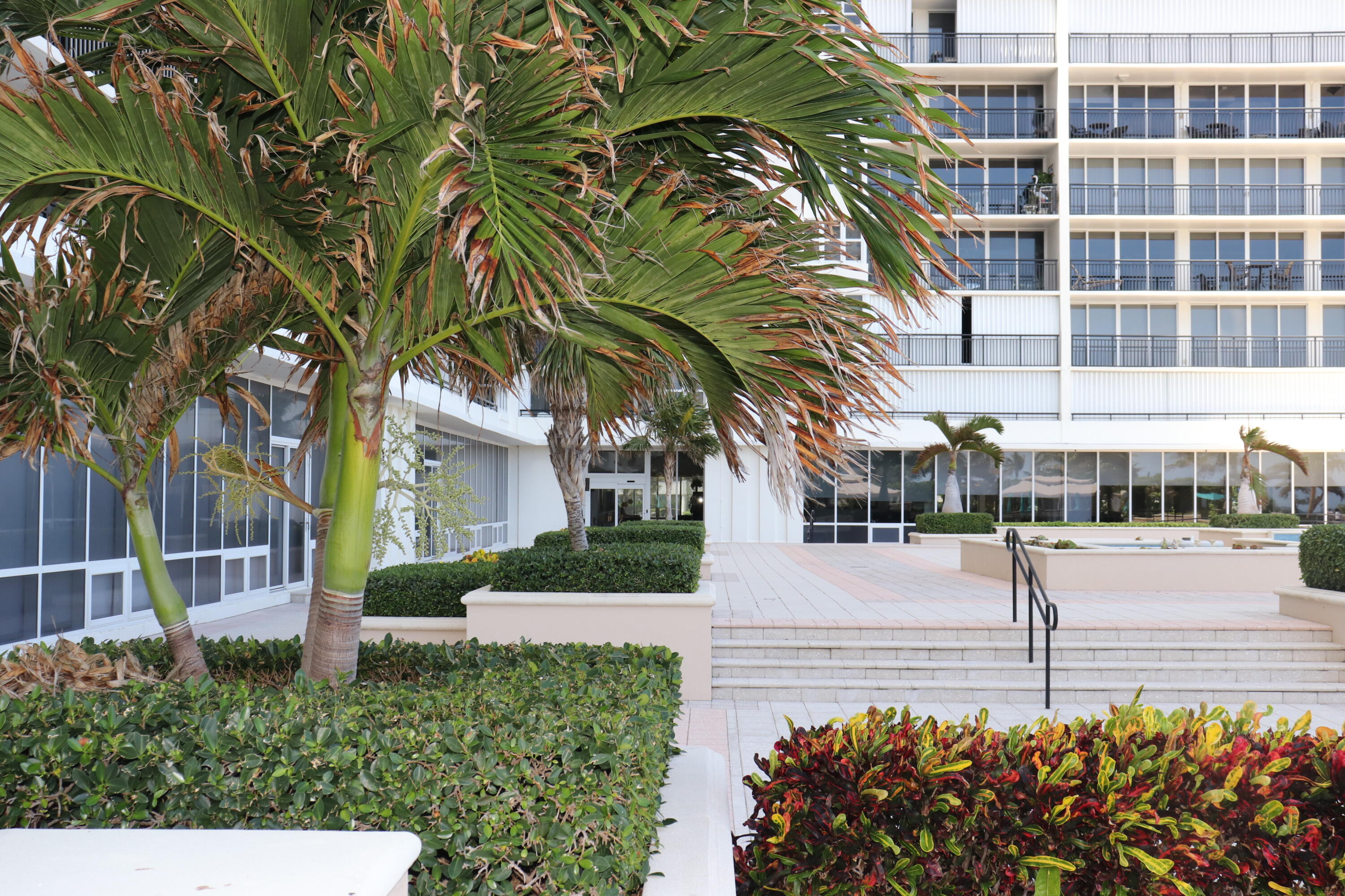 WHITEHALL CONDO - Residential