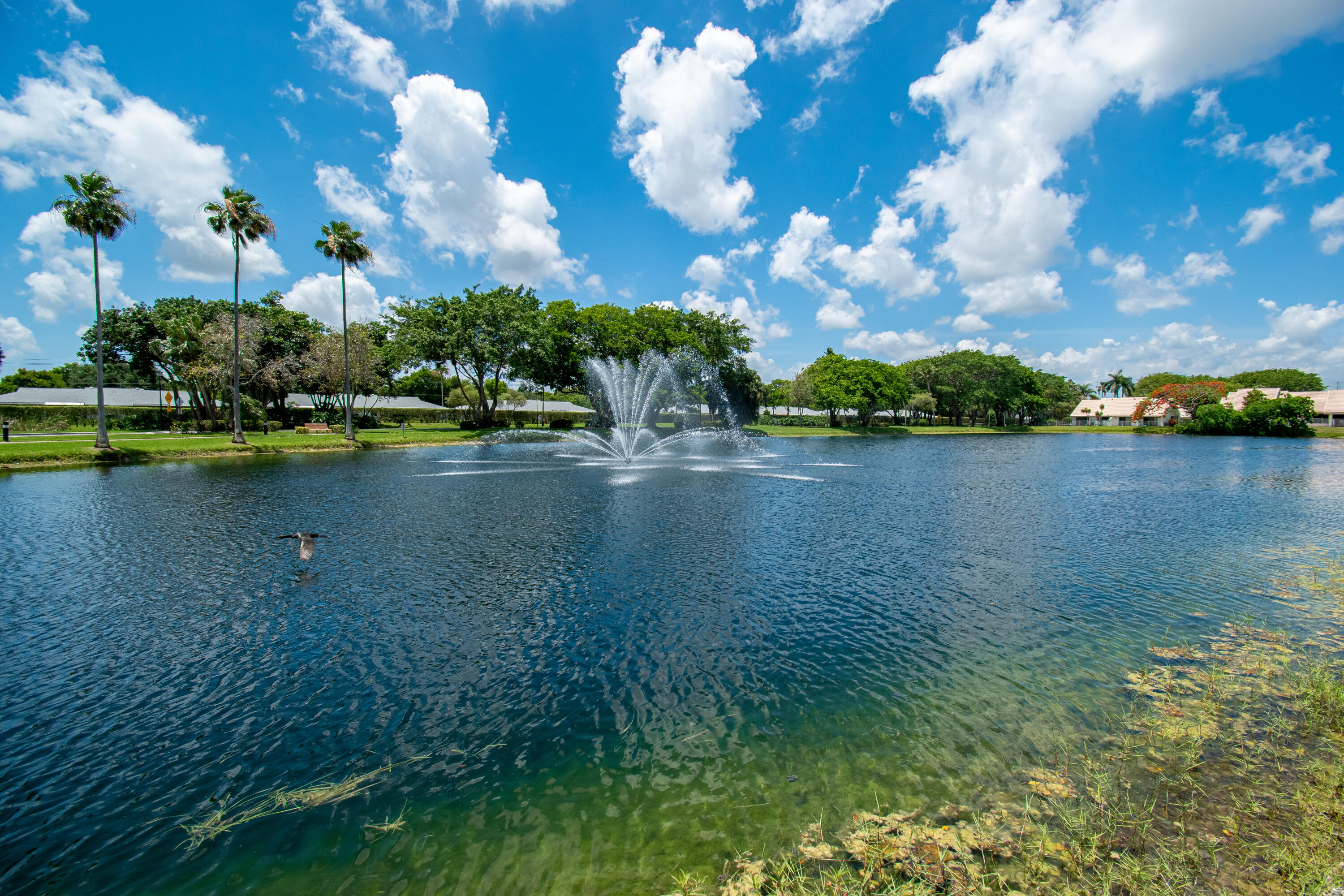 BOCA AZUL PH 1 - Residential Lease
