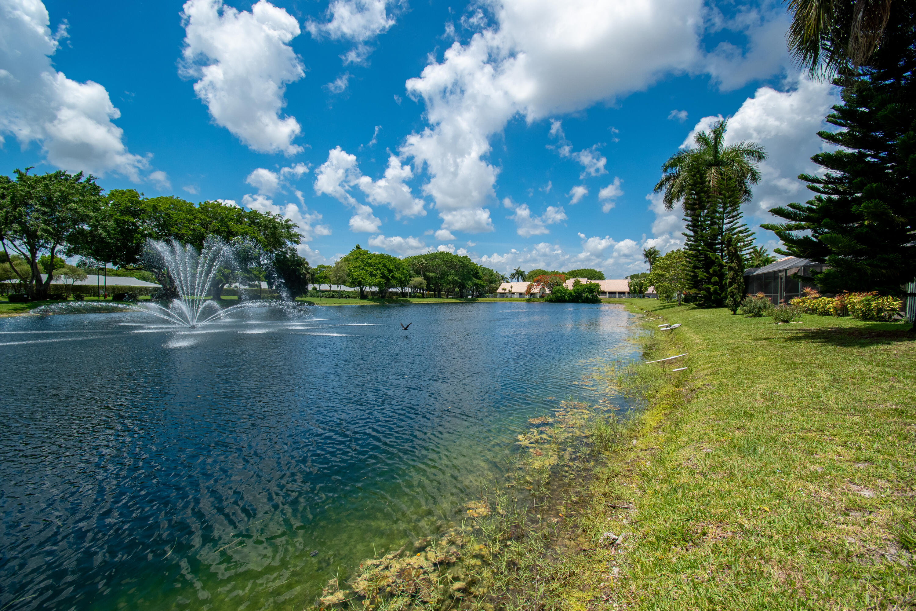 BOCA AZUL PH 1 - Residential Lease