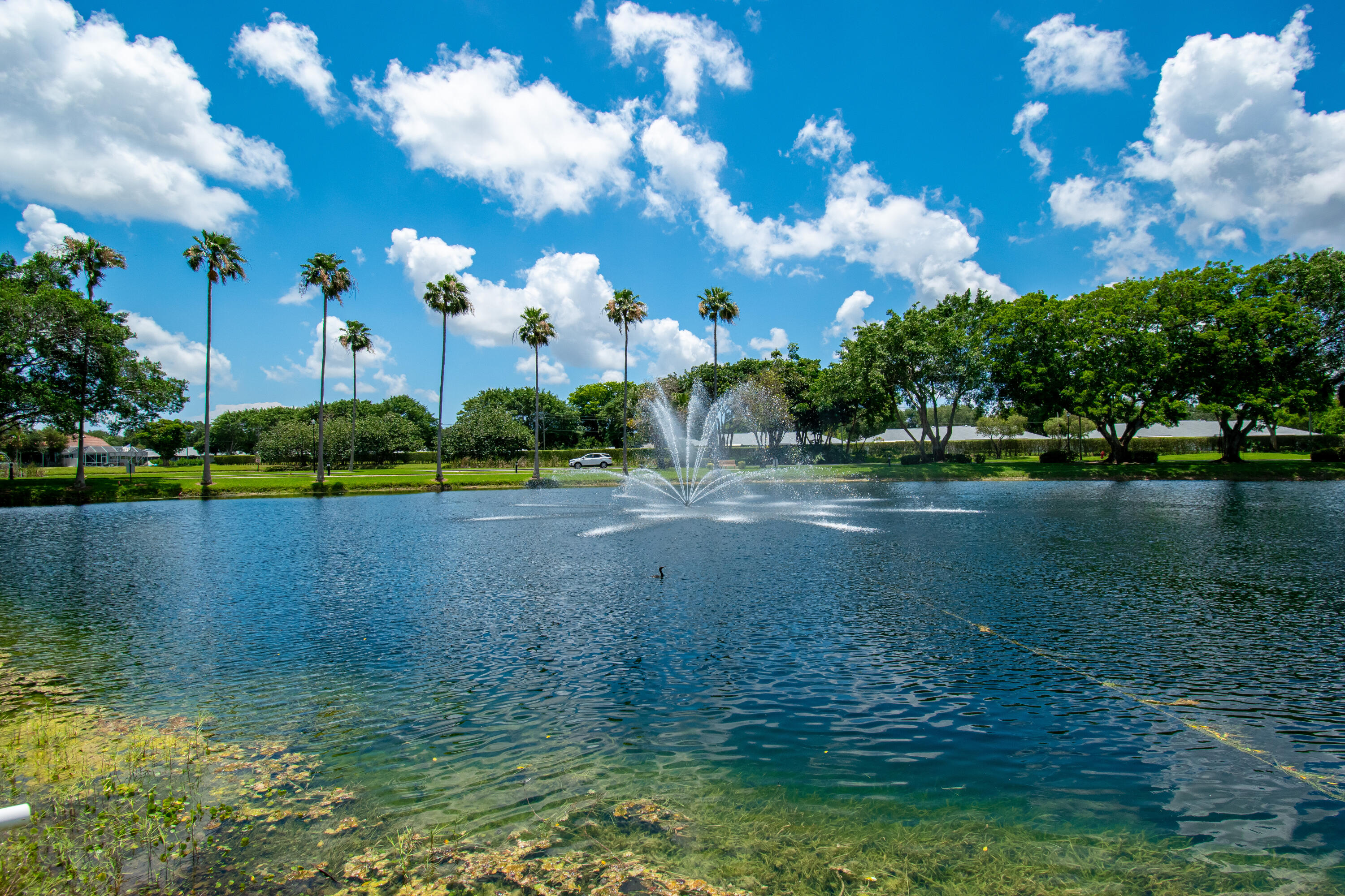 BOCA AZUL PH 1 - Residential Lease