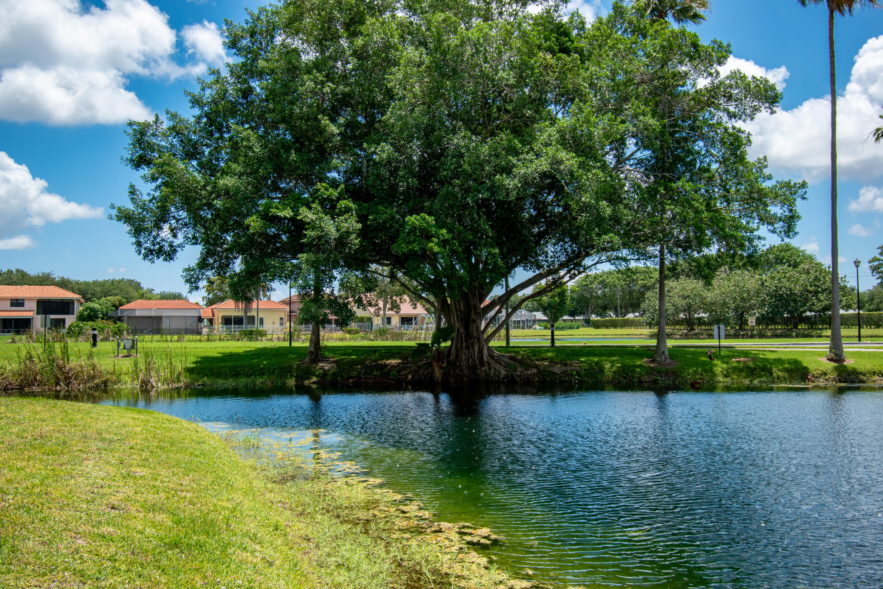 BOCA AZUL PH 1 - Residential Lease
