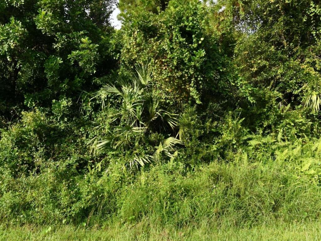 Build your dream home on this spacious 0.27-acre (11,875 sq ft) residential lot located in a desirable Port St. Lucie neighborhood. Situated on a quiet curved street, this property offers a unique lot shape that provides added privacy and design flexibility. 
Zoned RS-2, this lot is ideal for a single-family residence and is surrounded by established homes, offering a sense of community while still providing room to create your own private retreat. With no existing structures, you have a clean slate to design exactly what you envision. 
Conveniently located near shopping, dining, schools, parks, and major roadways, this property combines space, location, and opportunity—perfect for homeowners or investors alike. 
Don't miss the chance to secure a great homesite in  Port St. Lucie