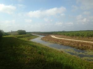 Hobe Sound - Land