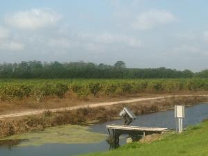 Hobe Sound - Land