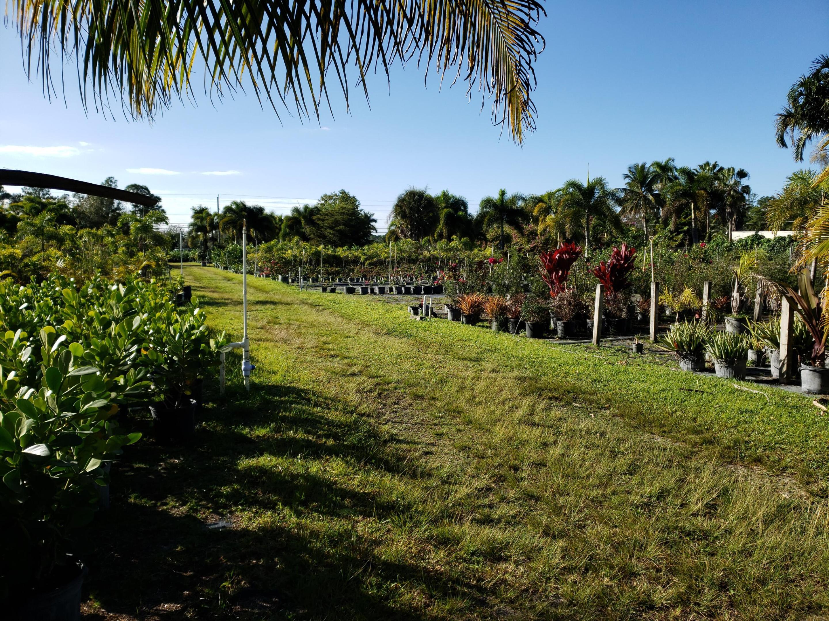 LOXAHATCHEE GROVES - Land