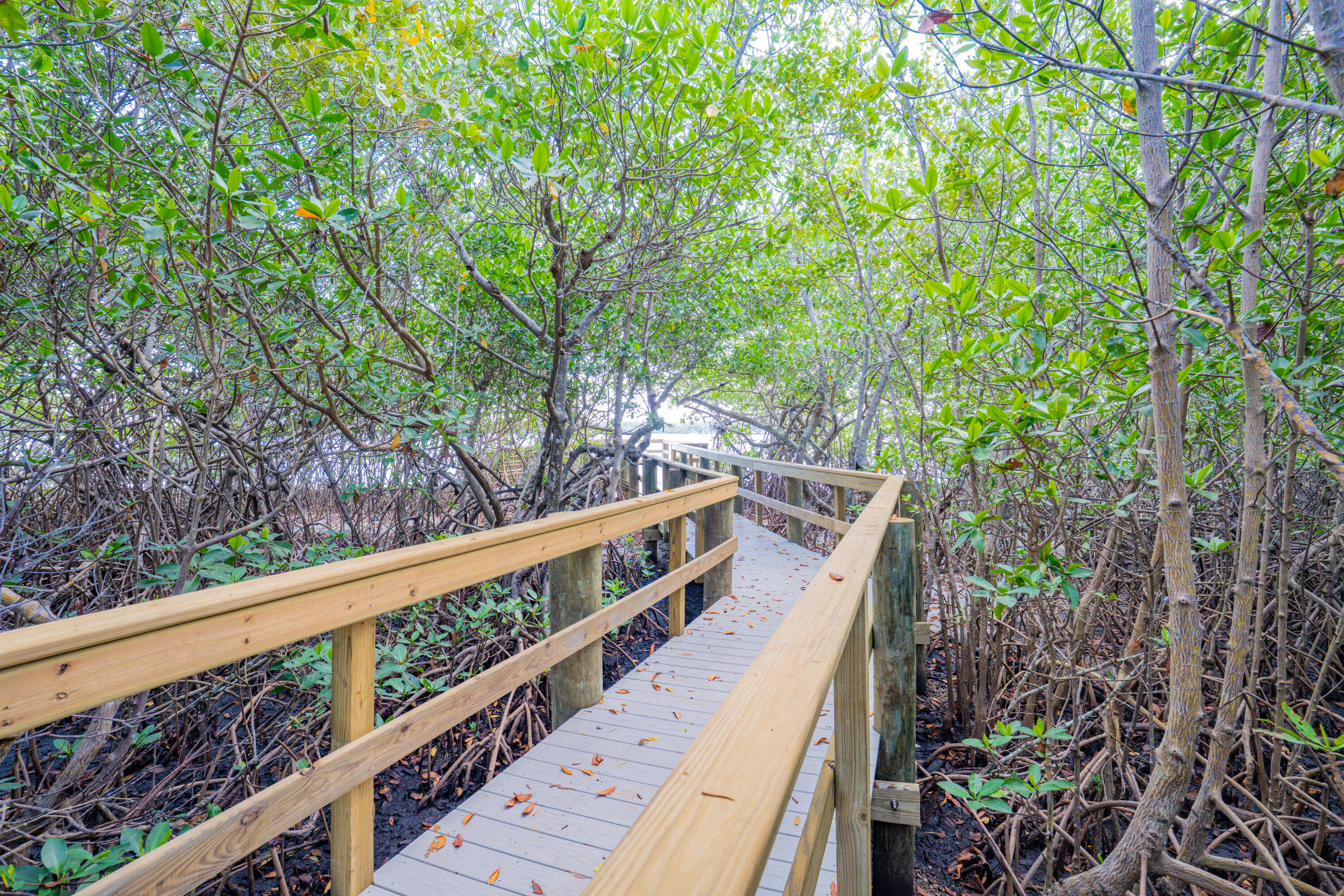 RIVER PINES - Residential