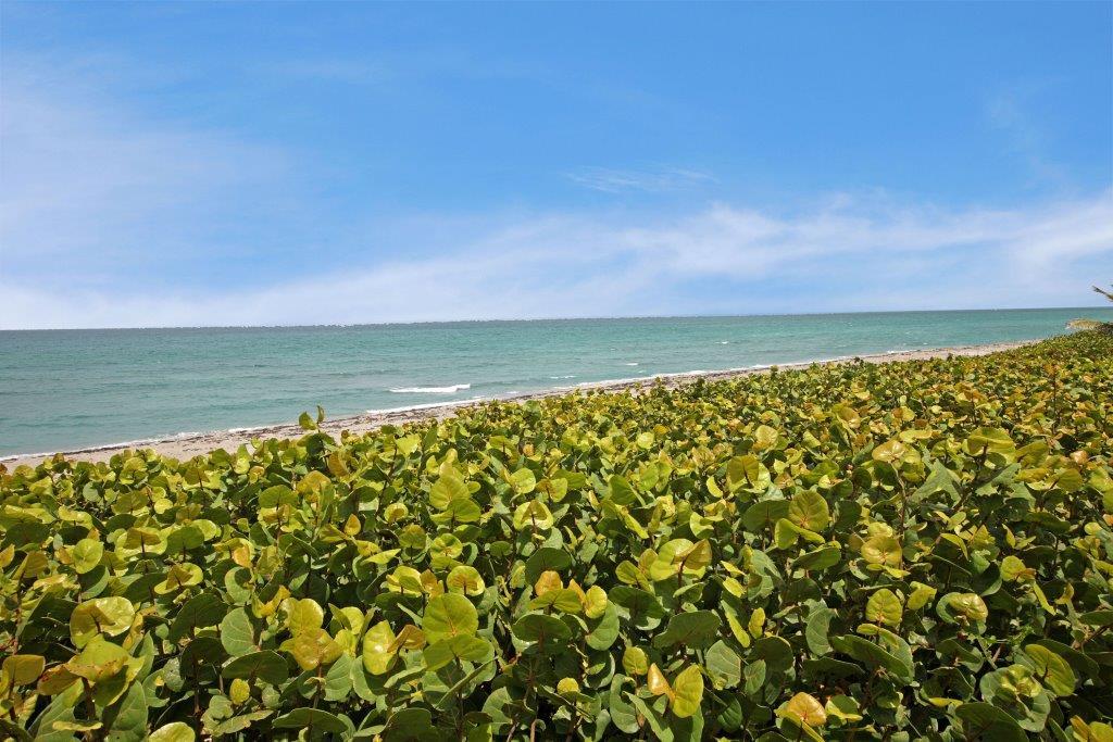 Jupiter Island - Residential