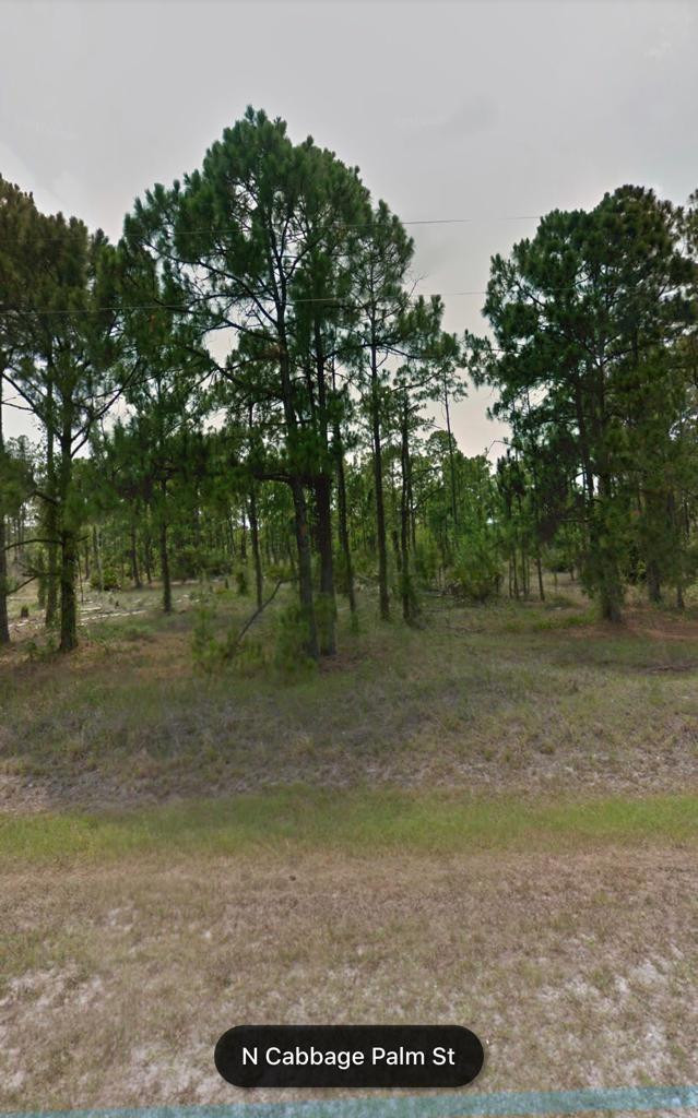 None
