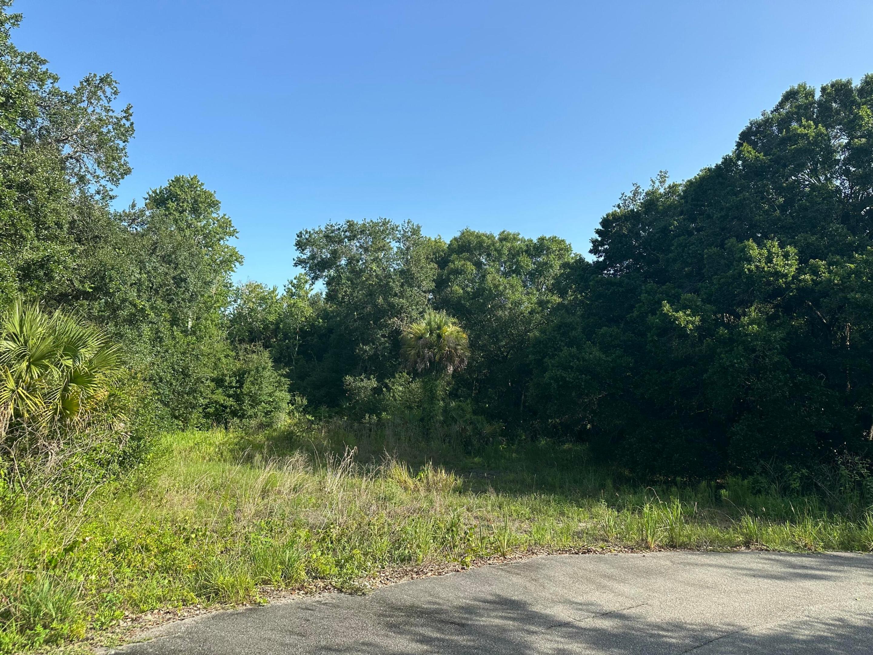 10 +/- ACRES OF HEAVILY WOODED (NON AGRICULTURE) PROPERTY LOCATED APPROXIMATELY 8.6 MILES NORTH OF OKEECHOBEE. PROPERTY IS VACANT AND HEAVILY WOODED WITH WILDLIFE. ASKING 369,000.00  MOTIVATED SELLER