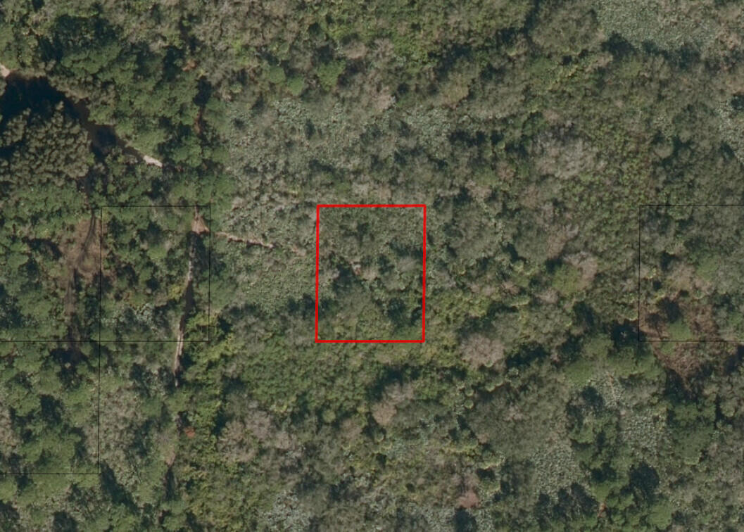Owner Financing available on this 1/2 acre lot in the path of development. Use today for recreational & agricultural use (shooting range, fruit trees, 4-wheeling on surrounding trails, etc....).