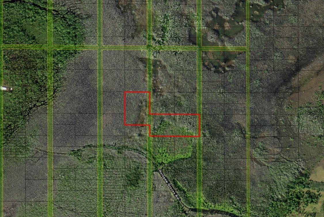 Over 8 acres in Holopaw.Ride, camp and hunt! Owner financing available