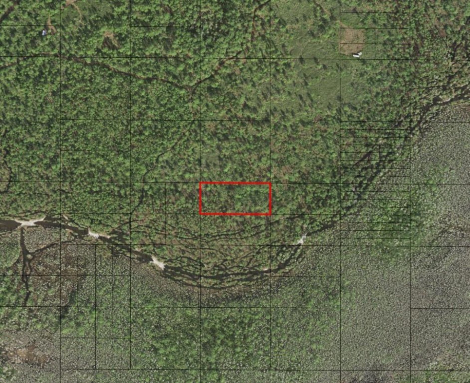 Own 1.26 acres in Holopaw Groves Recreational Area. Camp, hunt and ride!Owner financing available