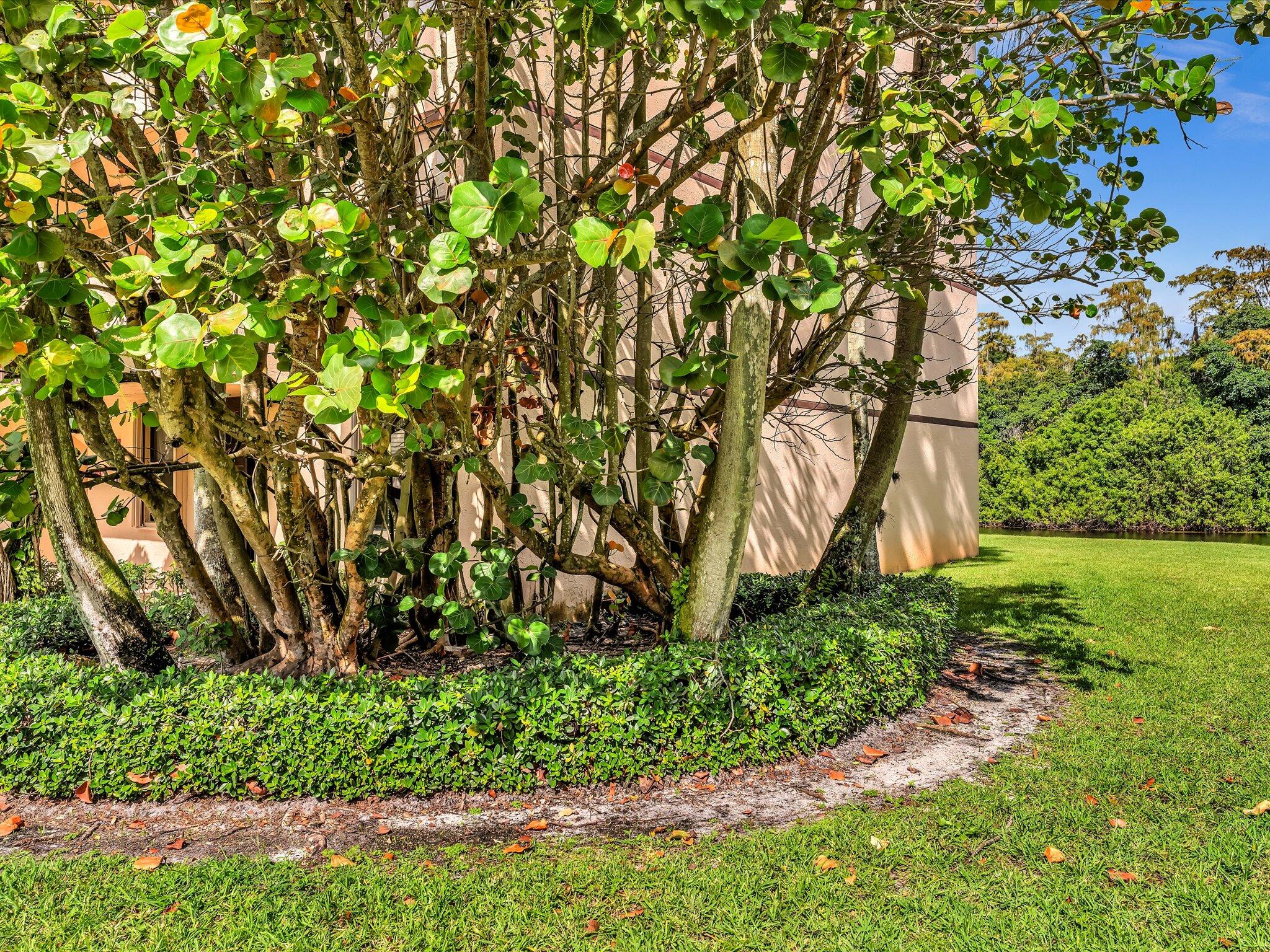 APPLEWOOD VILLAGE I-A CONDO - Residential