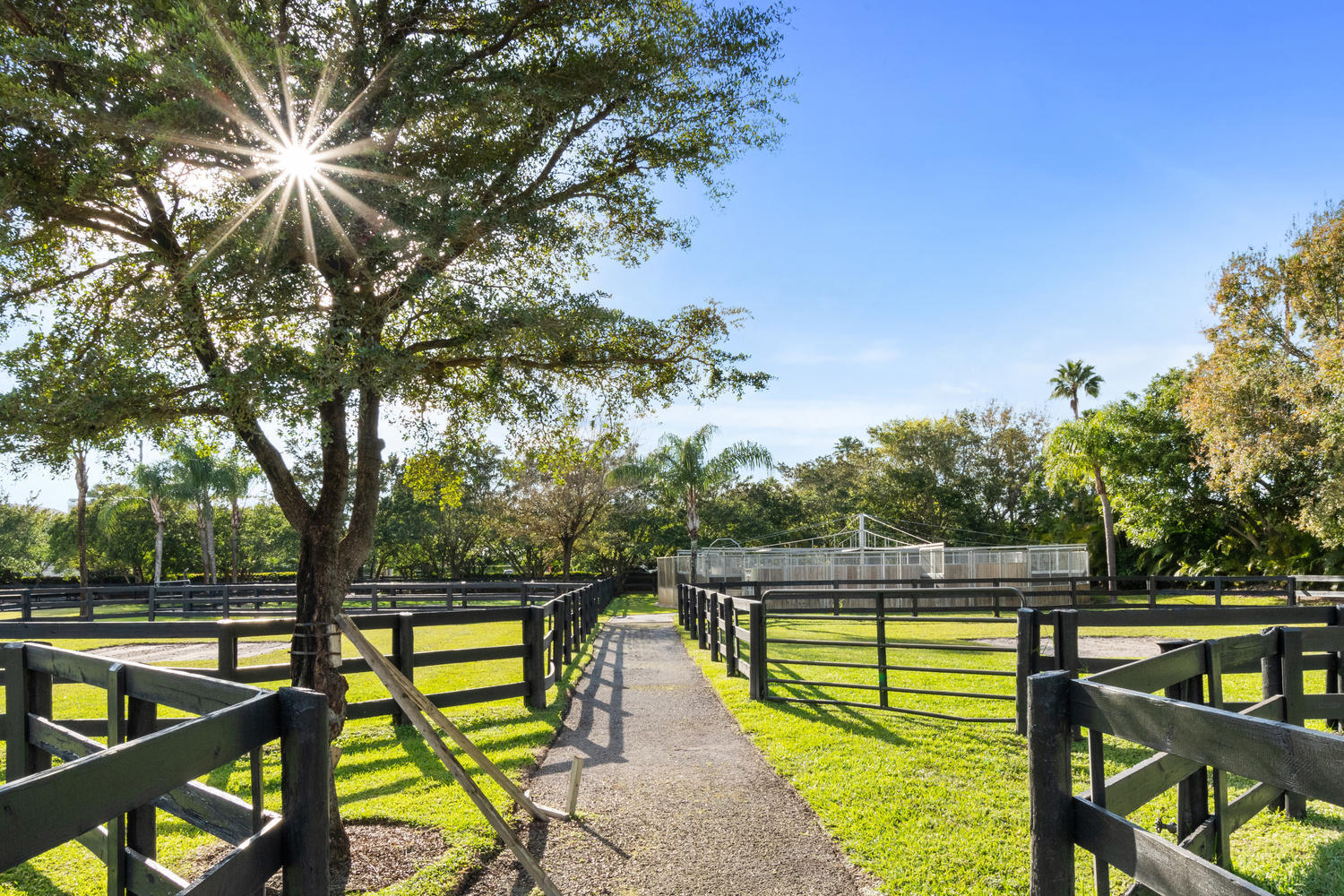 SADDLE TRAIL PARK OF WELLINGTON - Residential