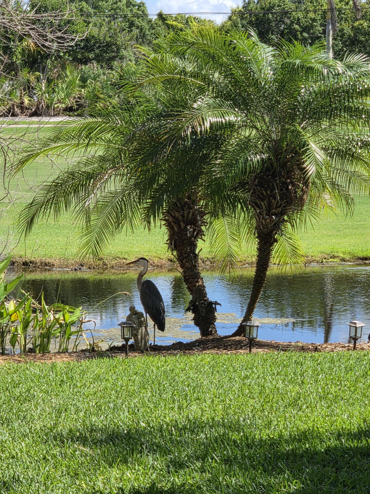 Palm Cove - Residential