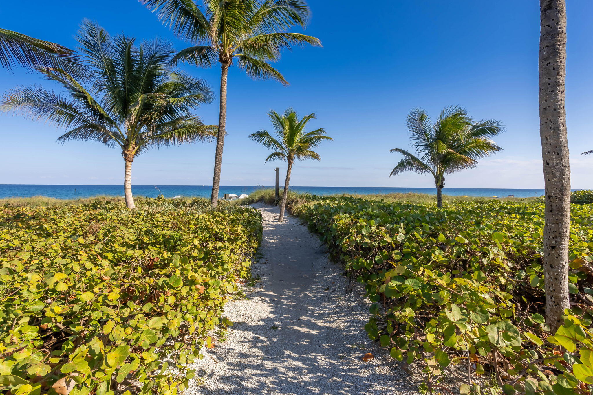 OCEAN DELRAY CONDO - Residential