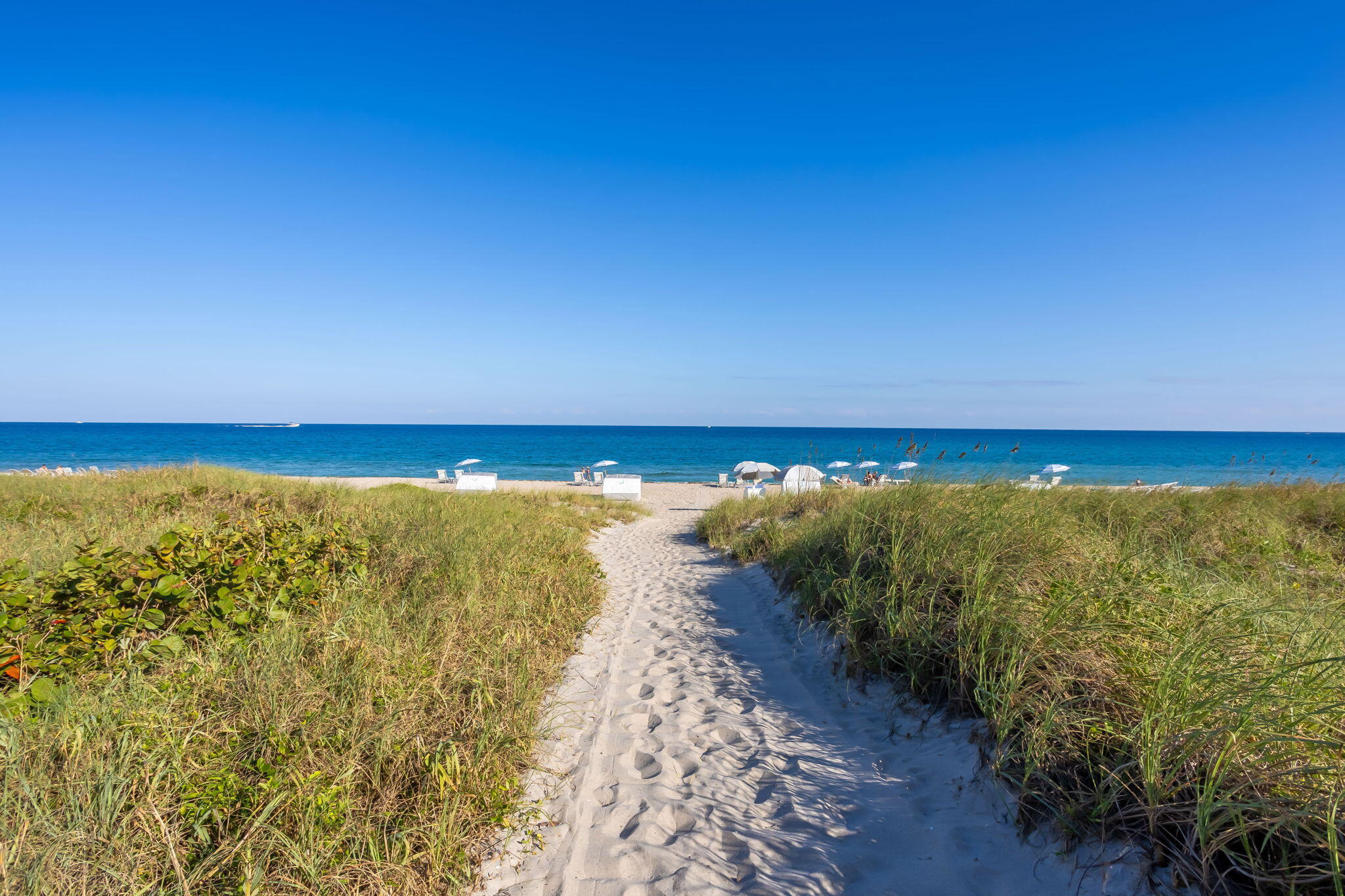OCEAN DELRAY CONDO - Residential