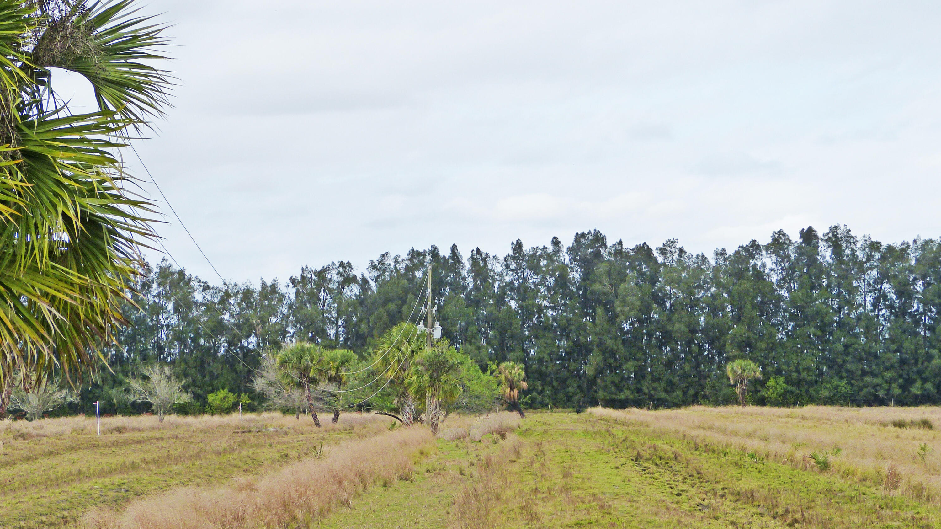 Kelly Header Canal - Land