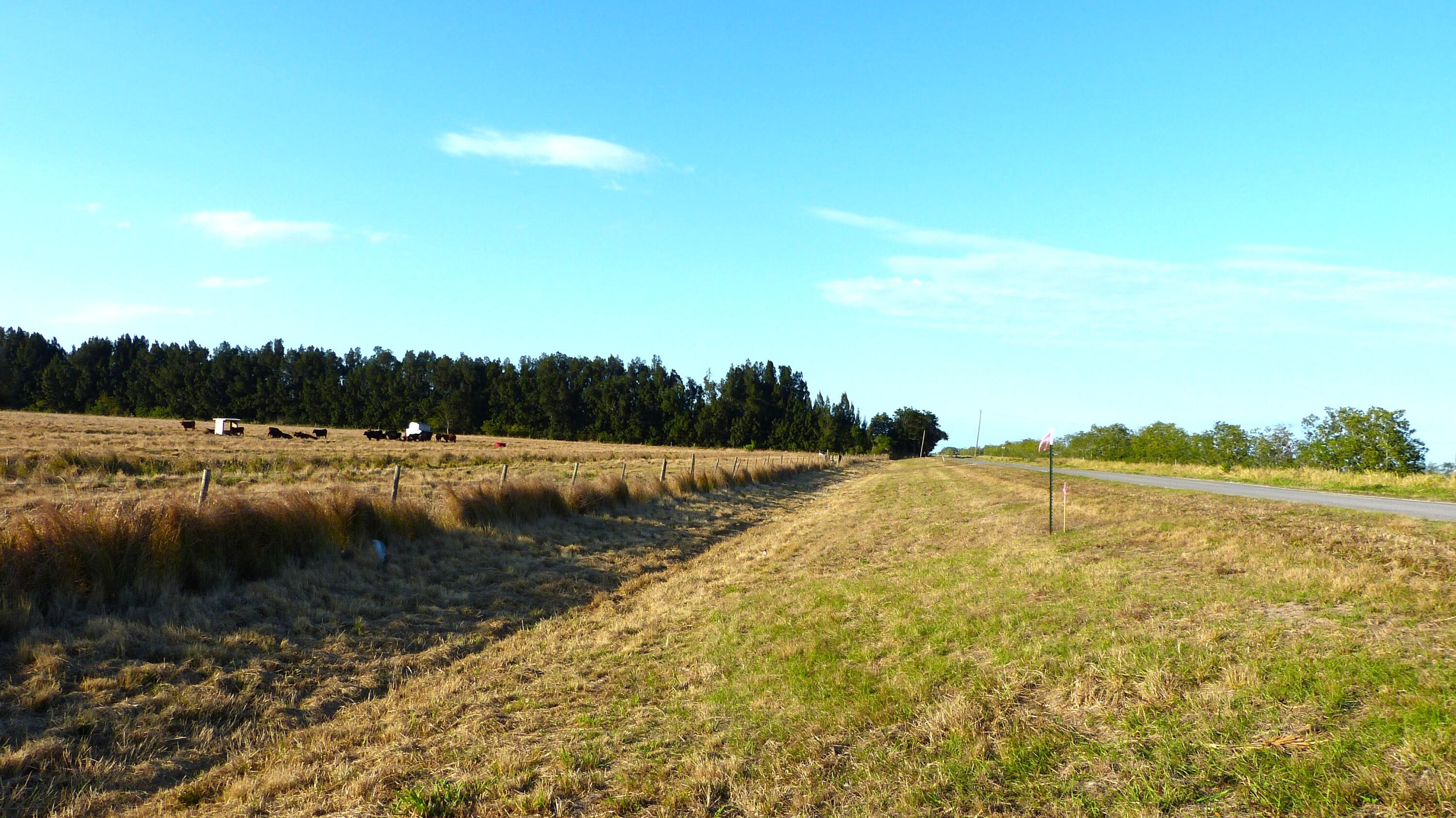 Kelly Header Canal - Land