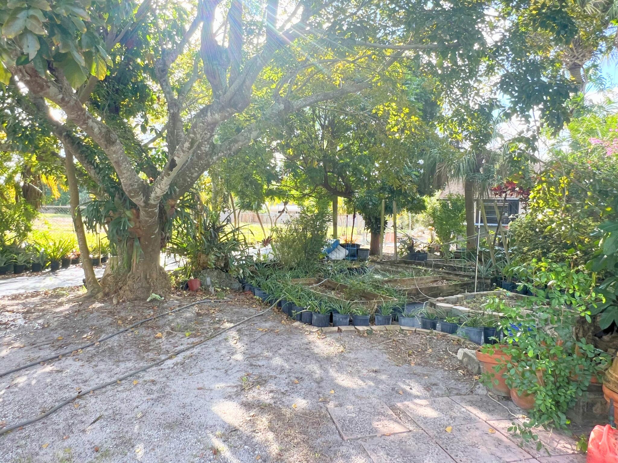 PALM BEACH FARMS - Land