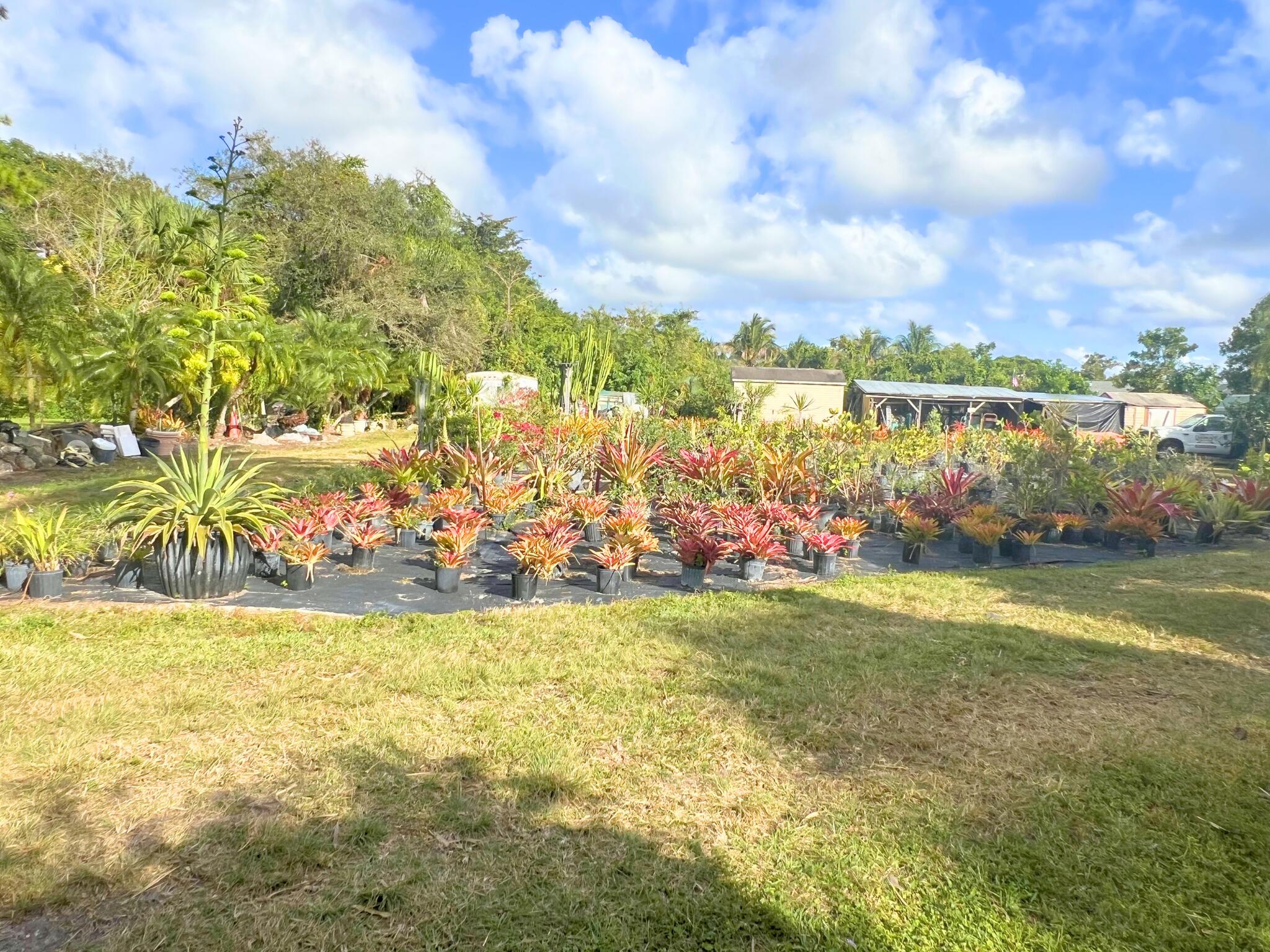 PALM BEACH FARMS - Land