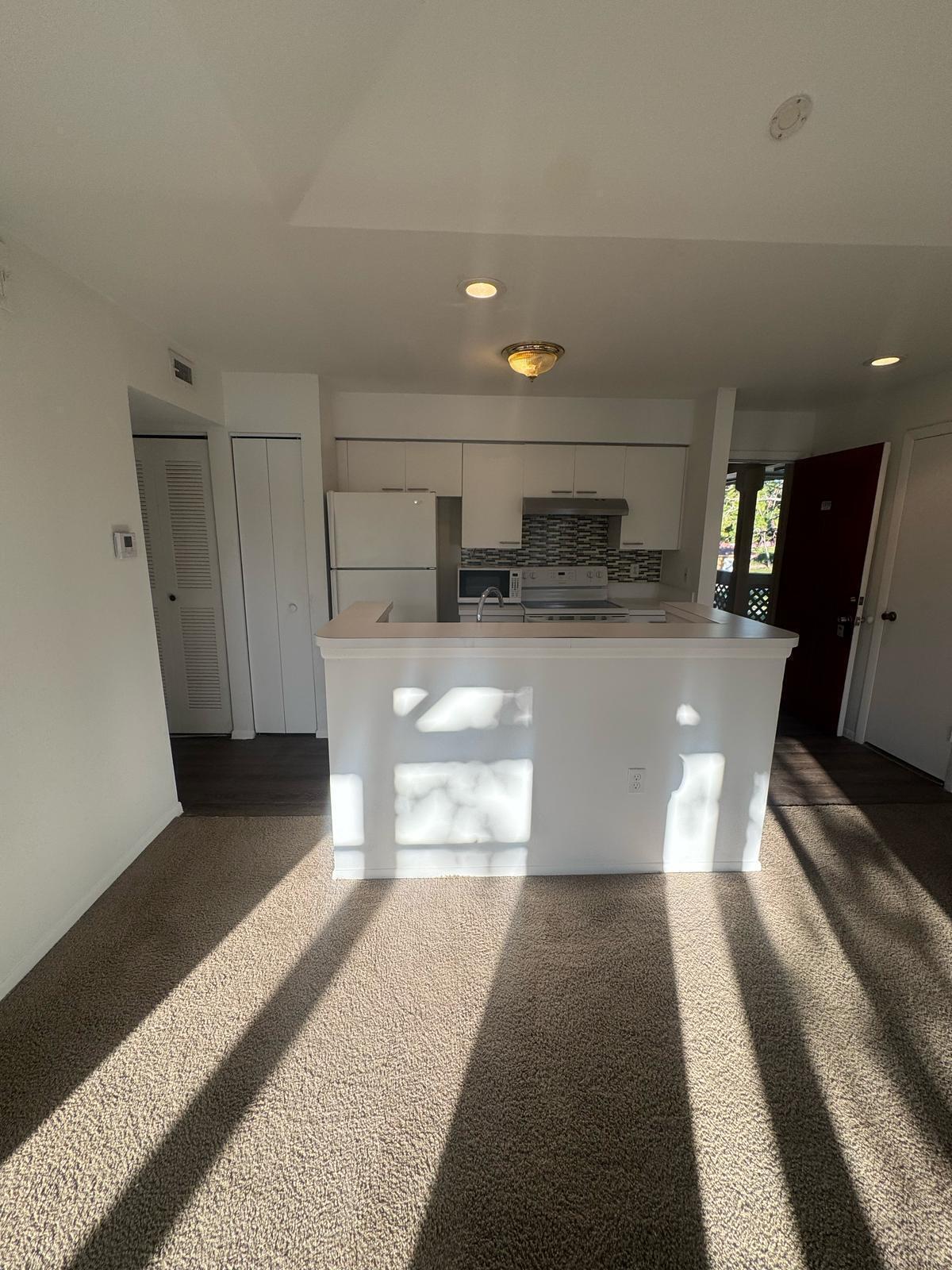 PALM LAKE CONDO - Residential Lease