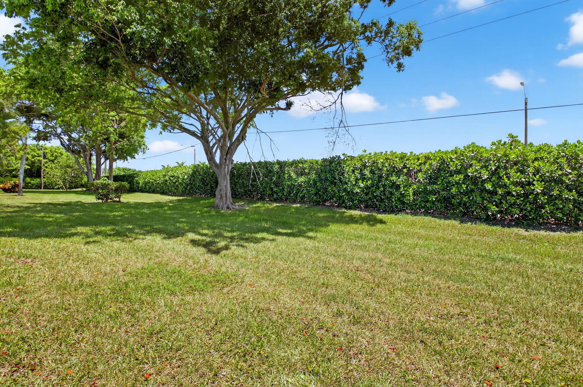 PALM GREENS AT VILLA DEL RAY CONDO II - Residential
