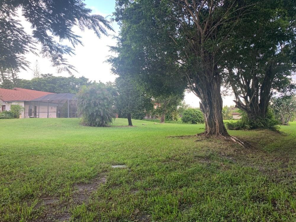 Pine Tree Estates - Residential