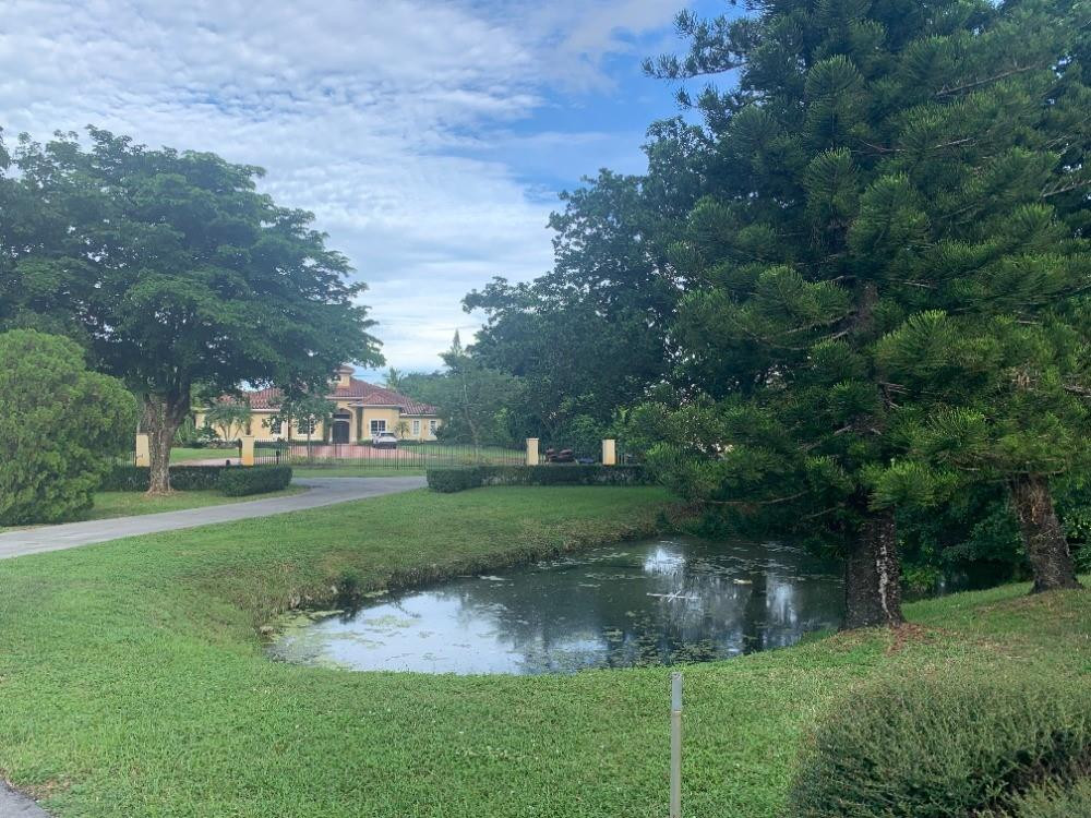 Pine Tree Estates - Residential