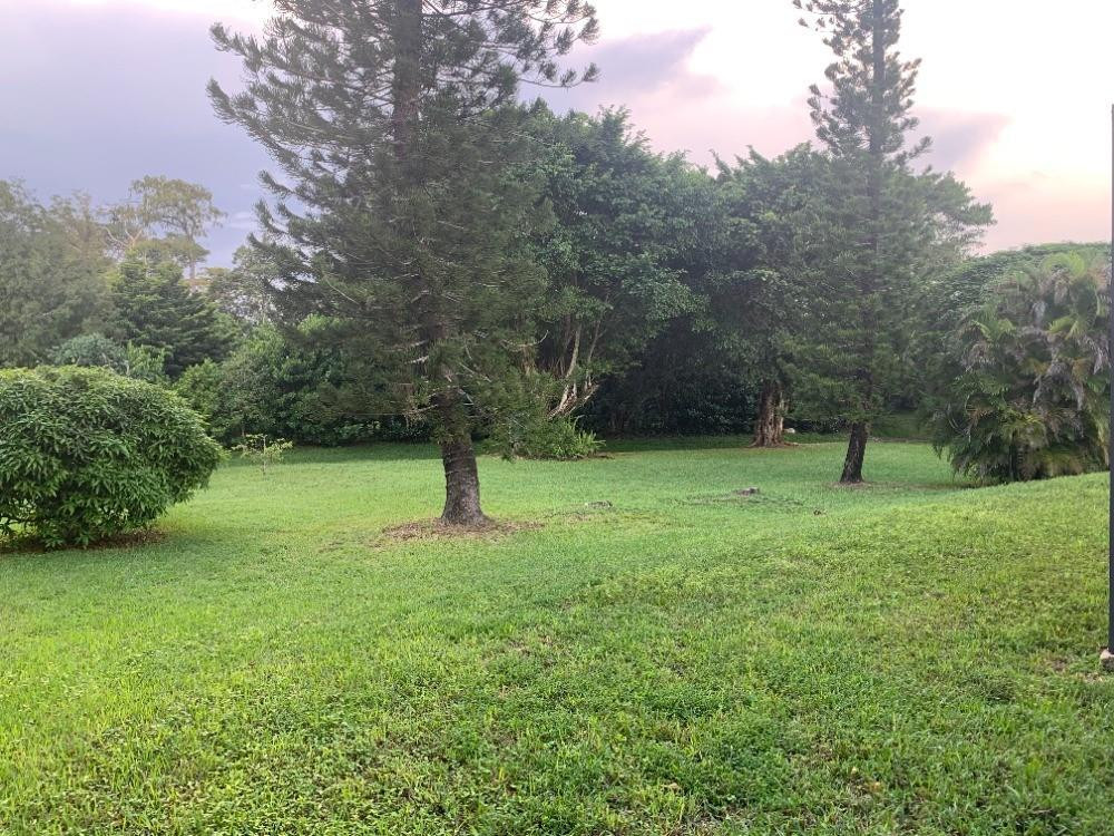 Pine Tree Estates - Residential
