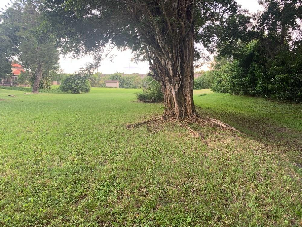 Pine Tree Estates - Residential
