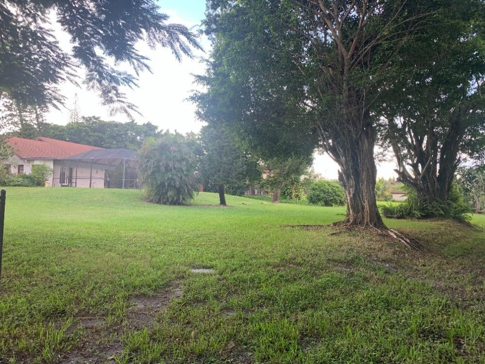 Pine Tree Estates - Residential