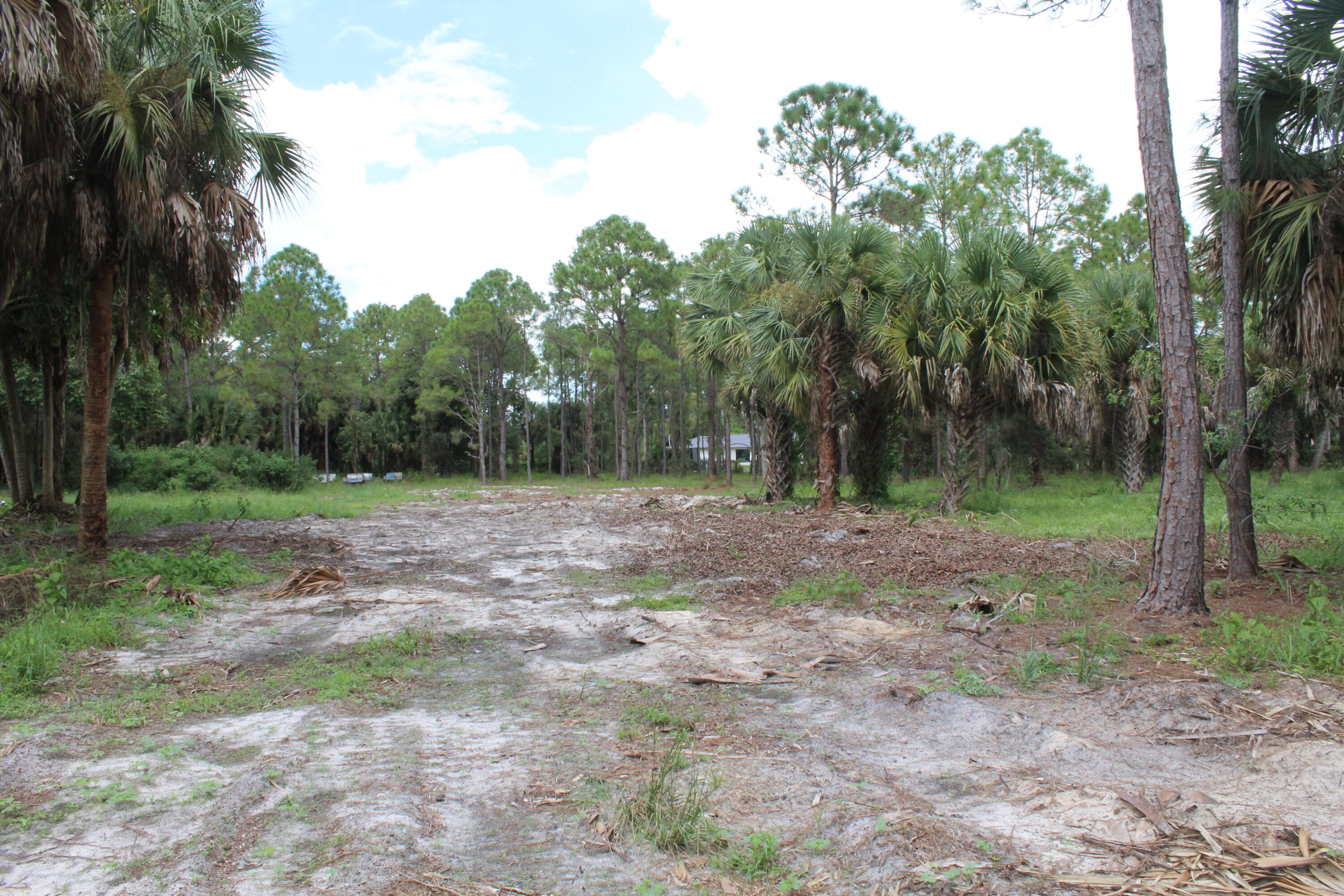 INVESTMENT OPPORTUNITY. 5.22 ACRES. HIGH AND DRY IN DESIRABLE EQUESTRIAN NEIGHBORHOOD. FULLY FENCED AND PARTIALLY CLEARED. NEXT DOOR LOT JUST SOLD! BUILDING COVERED ARENA, HOUSE, AND FARM BY IDA. GET INTO NEIGHBORHOOD WHILE YOU CAN! 29 ACRES OF RIDING TRAILS AND 20 MINUTES TO WEF!  This is your opportunity to get into a growing equestrian community before it's fully built out.