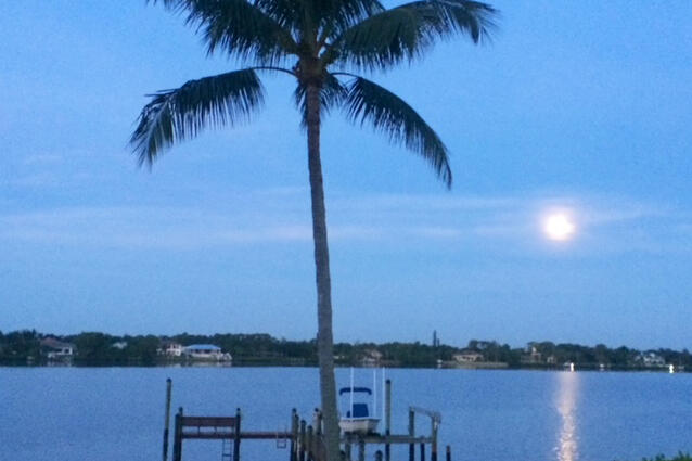 TEQUESTA COUNTRY CLUB - Residential