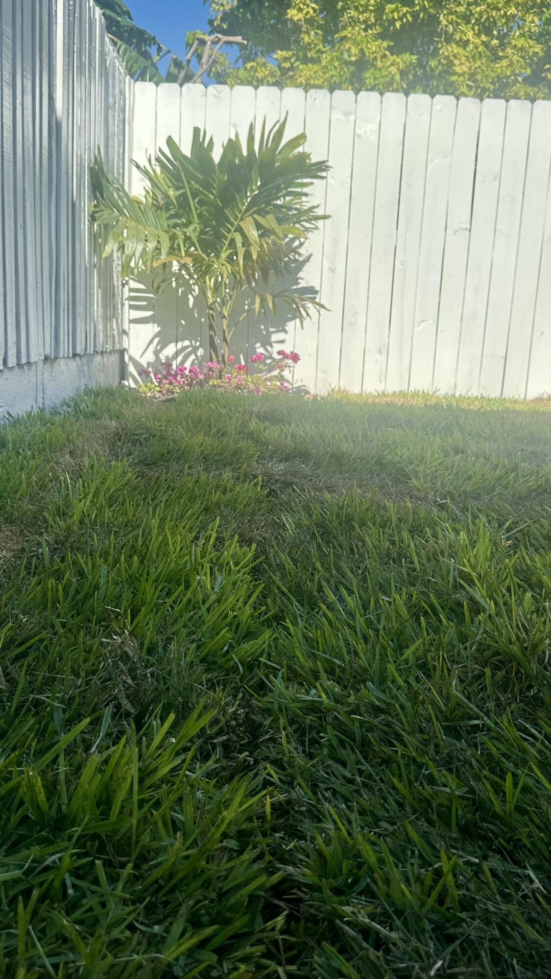 MANGO HILL - Residential