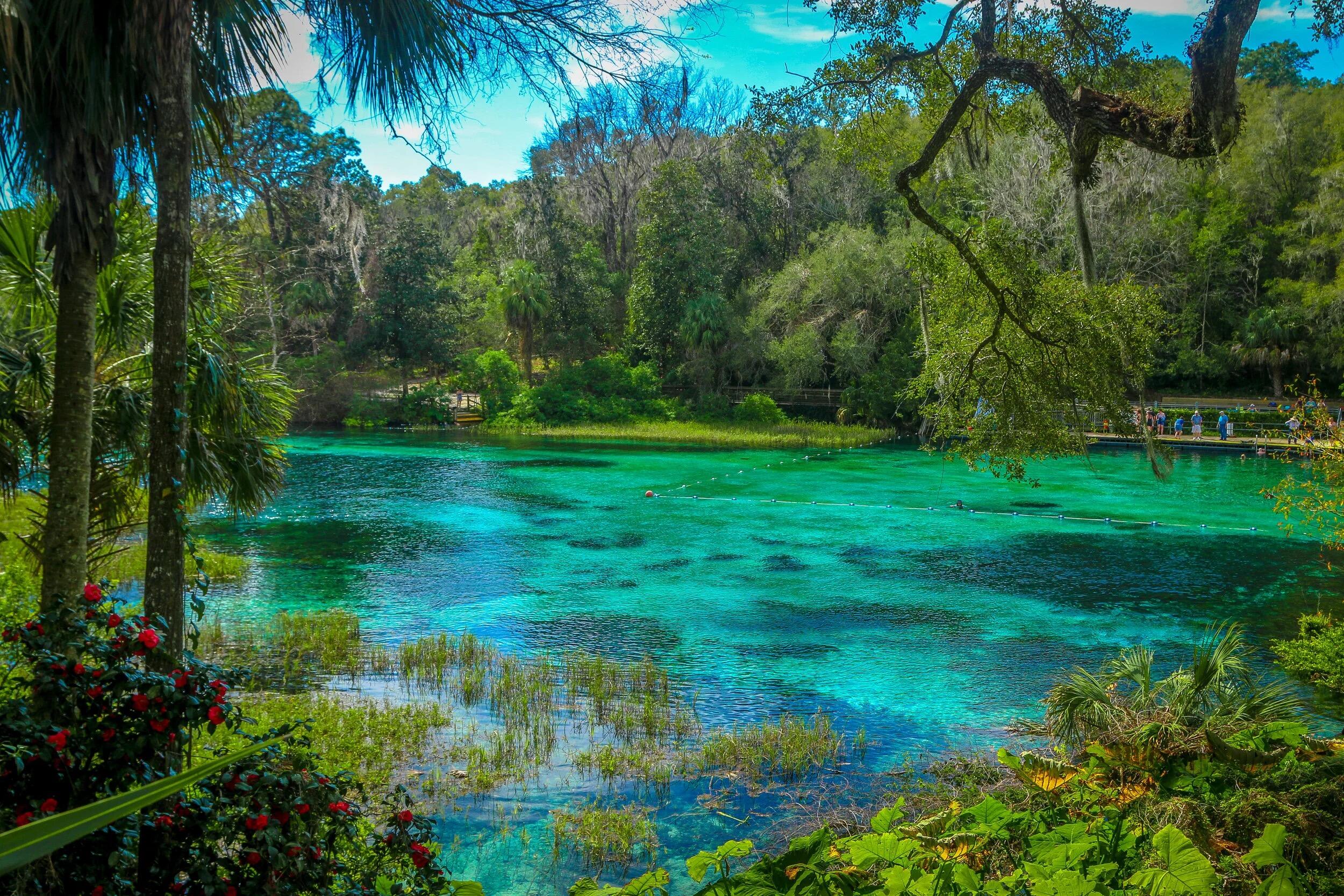 OCALA ESTATES - Land