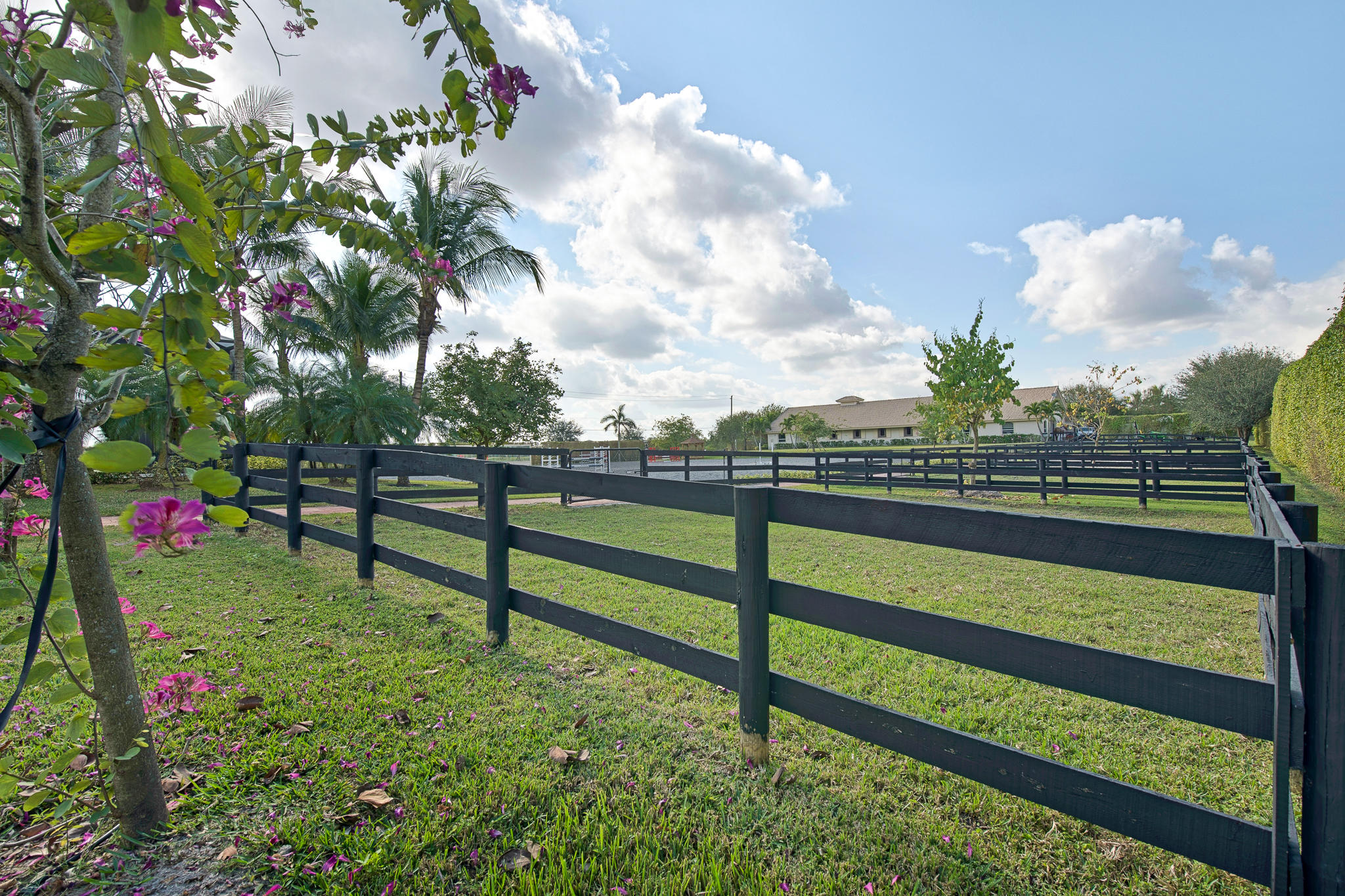 PALM BEACH POINT EAST - Residential
