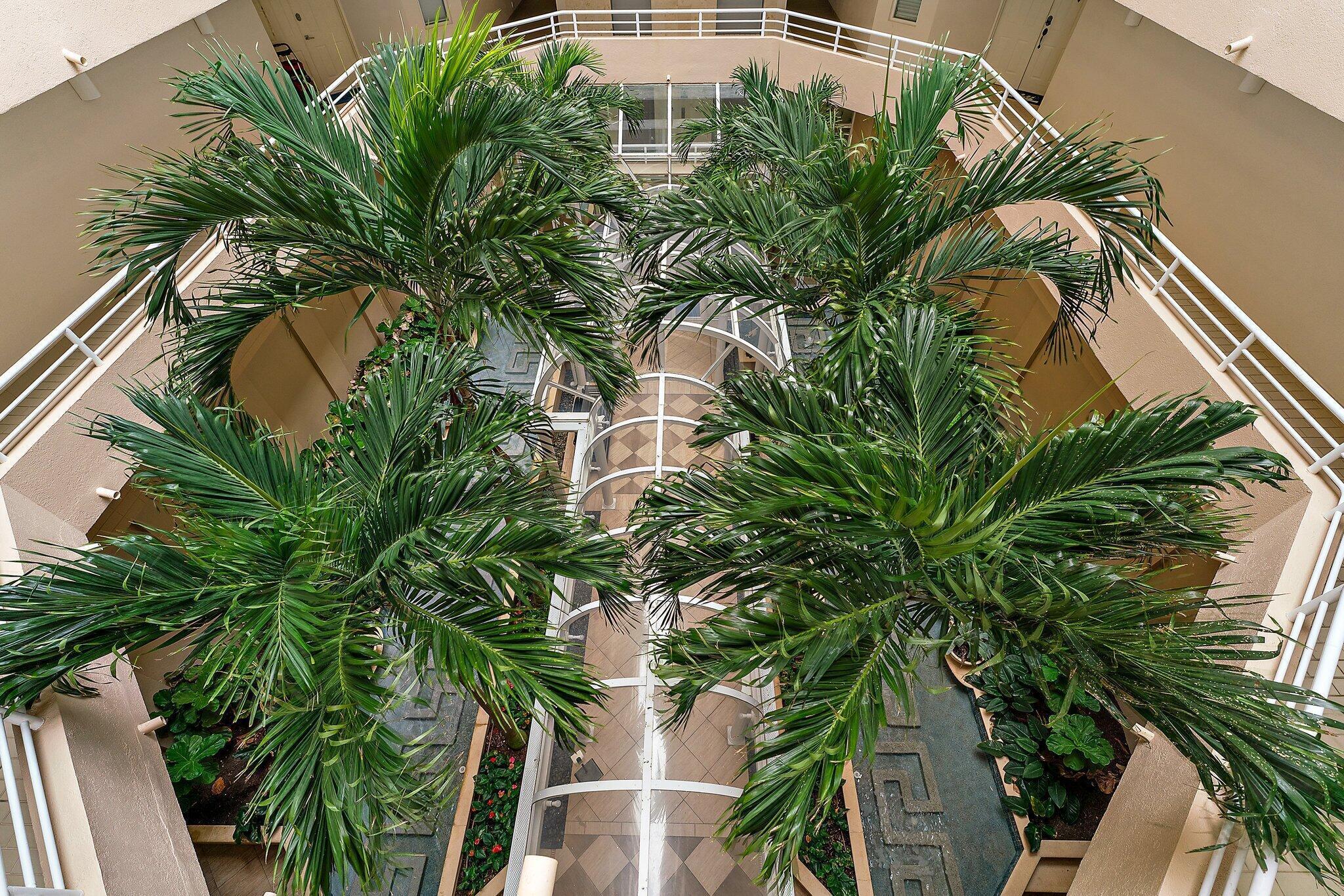CORINTHIANS CONDO - Residential Lease