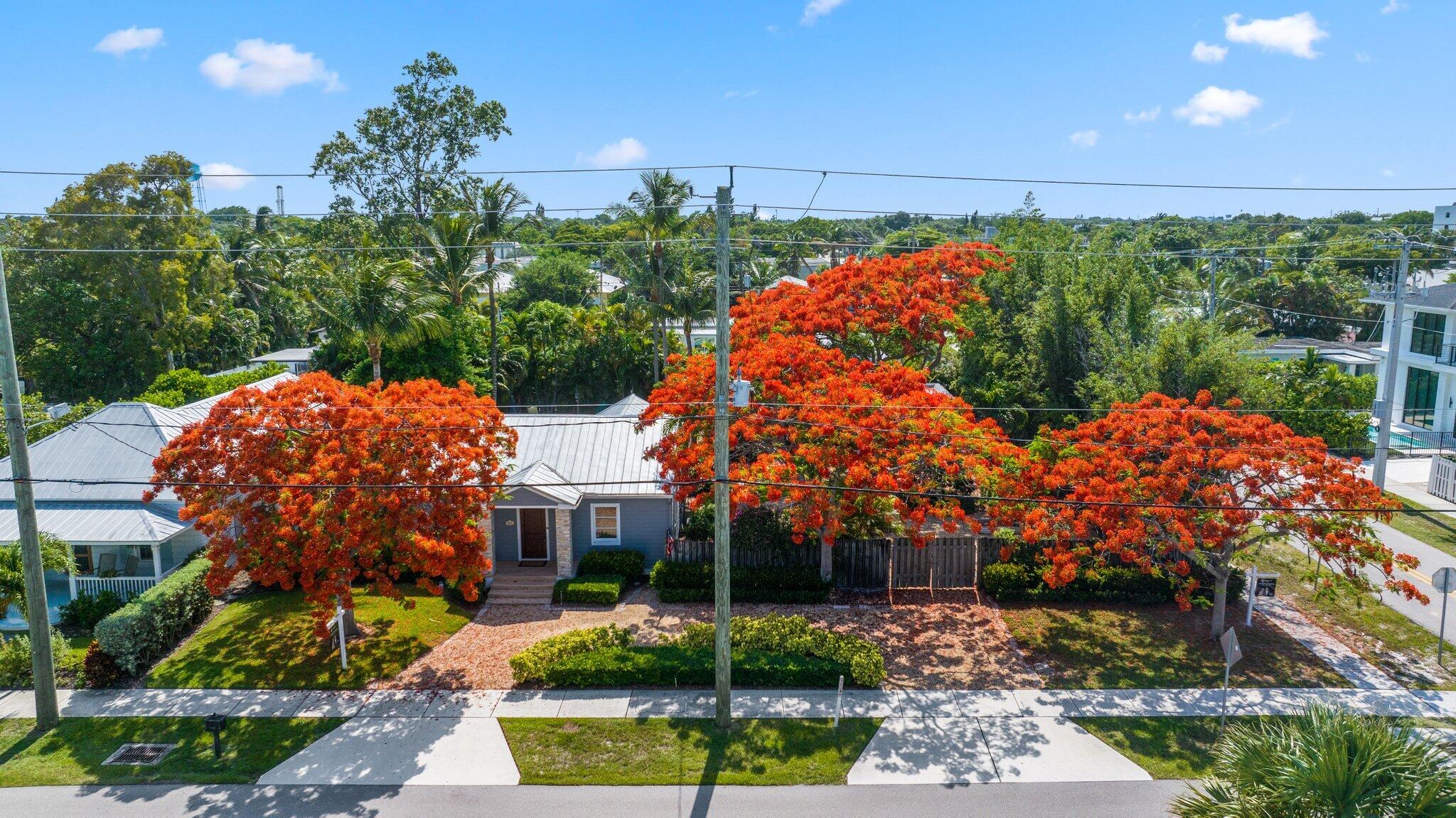 LINNS - Residential