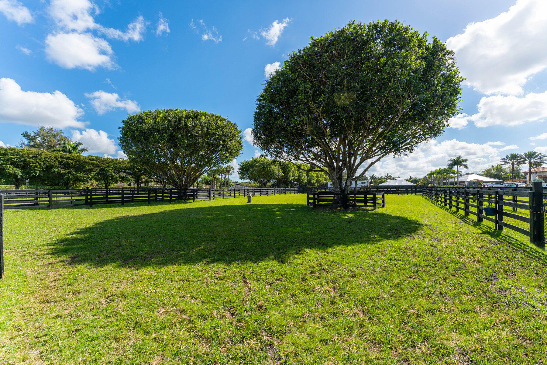 Palm Glade Ranches - Residential