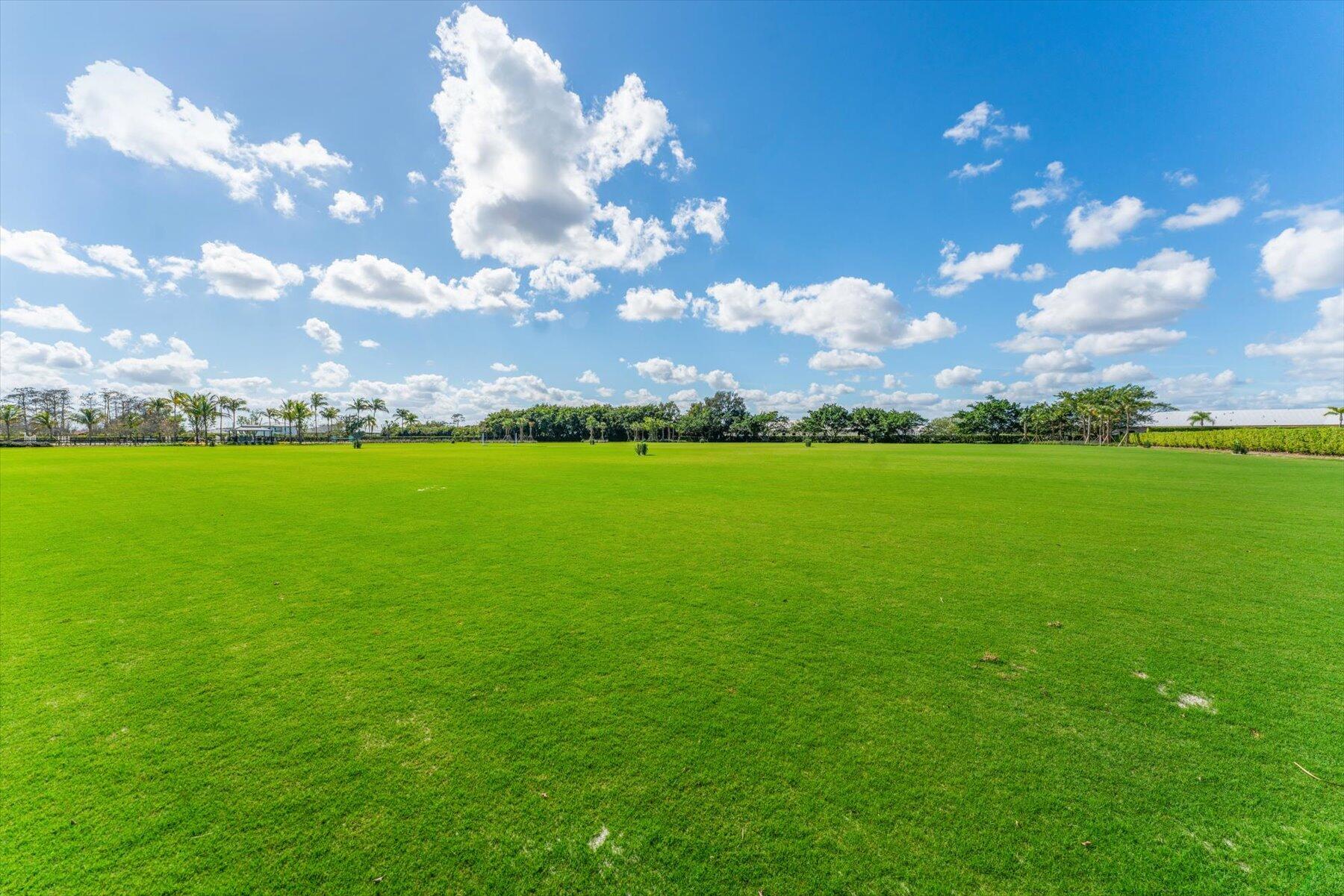 Palm Glade Ranches - Residential